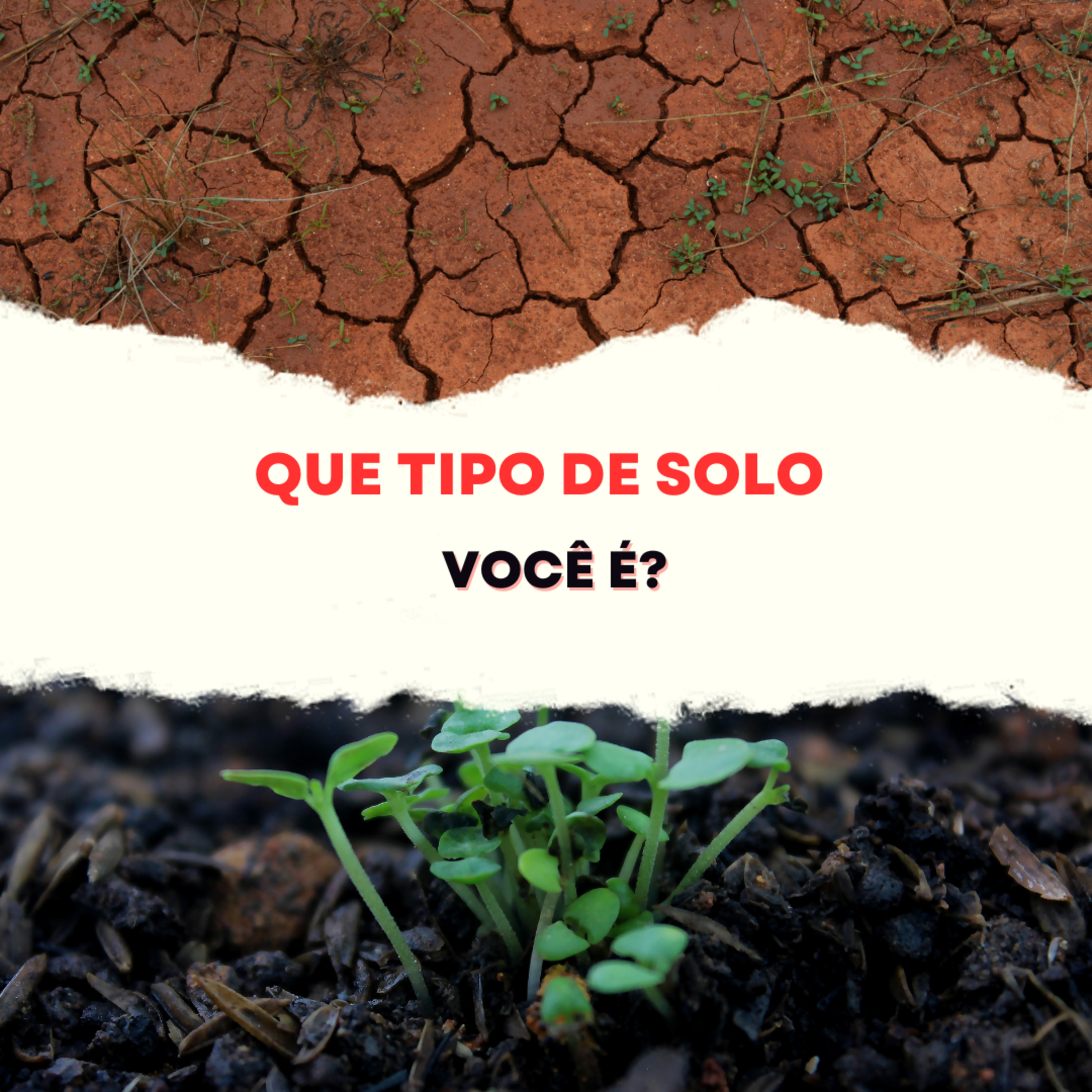 Nações2000
