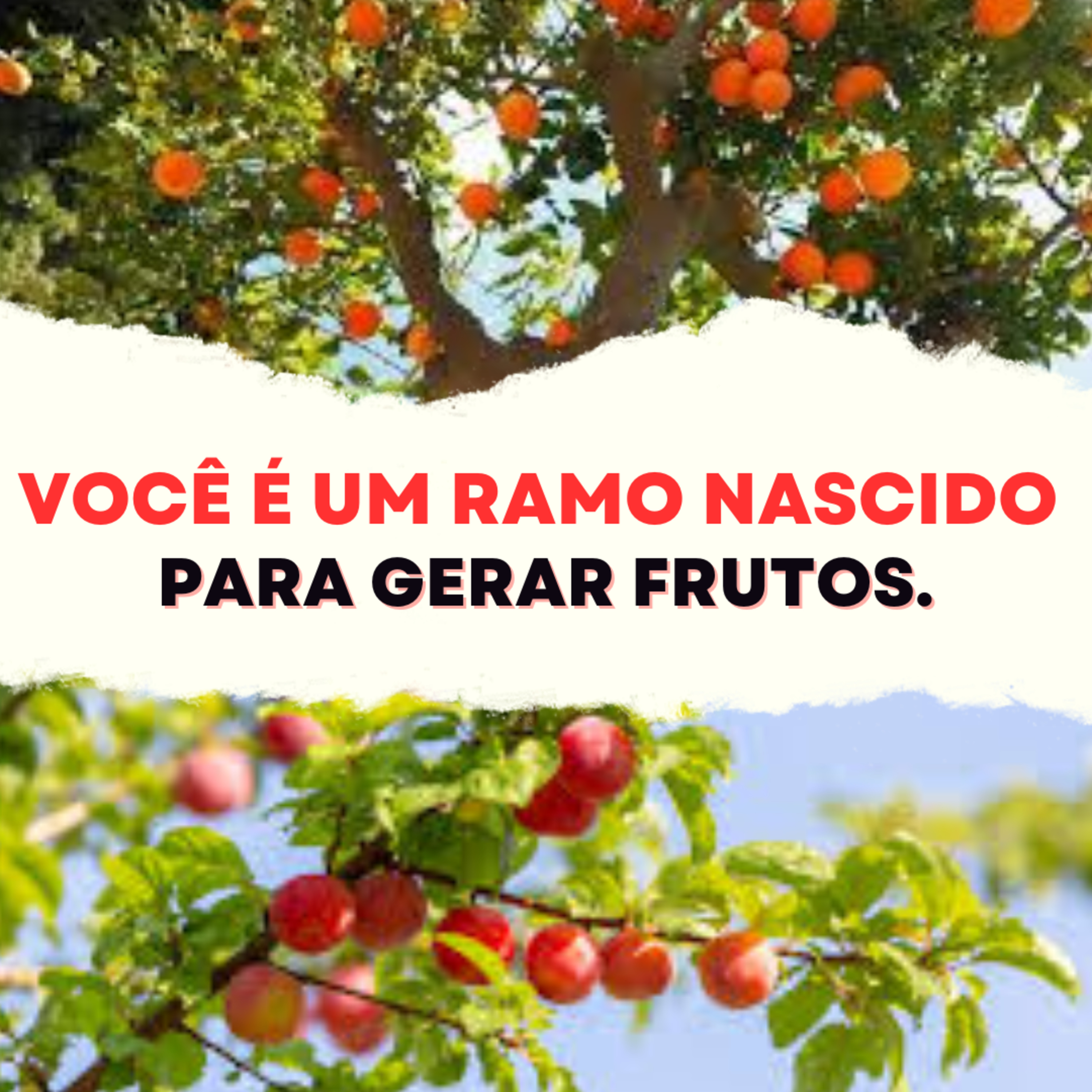 Nações2000