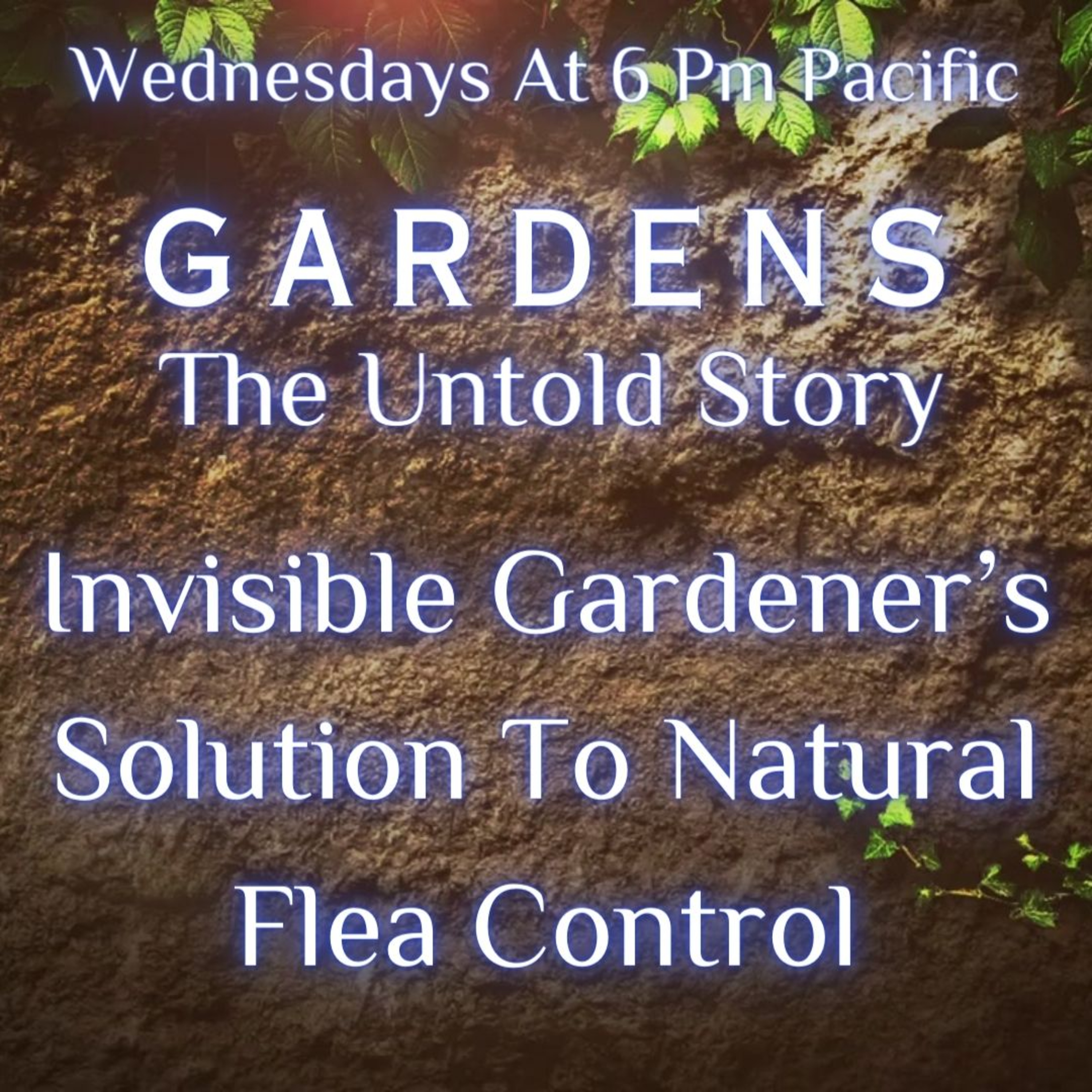 Gardens The Untold Story: Invisible Gardener’s Solution To Natural Flea Control