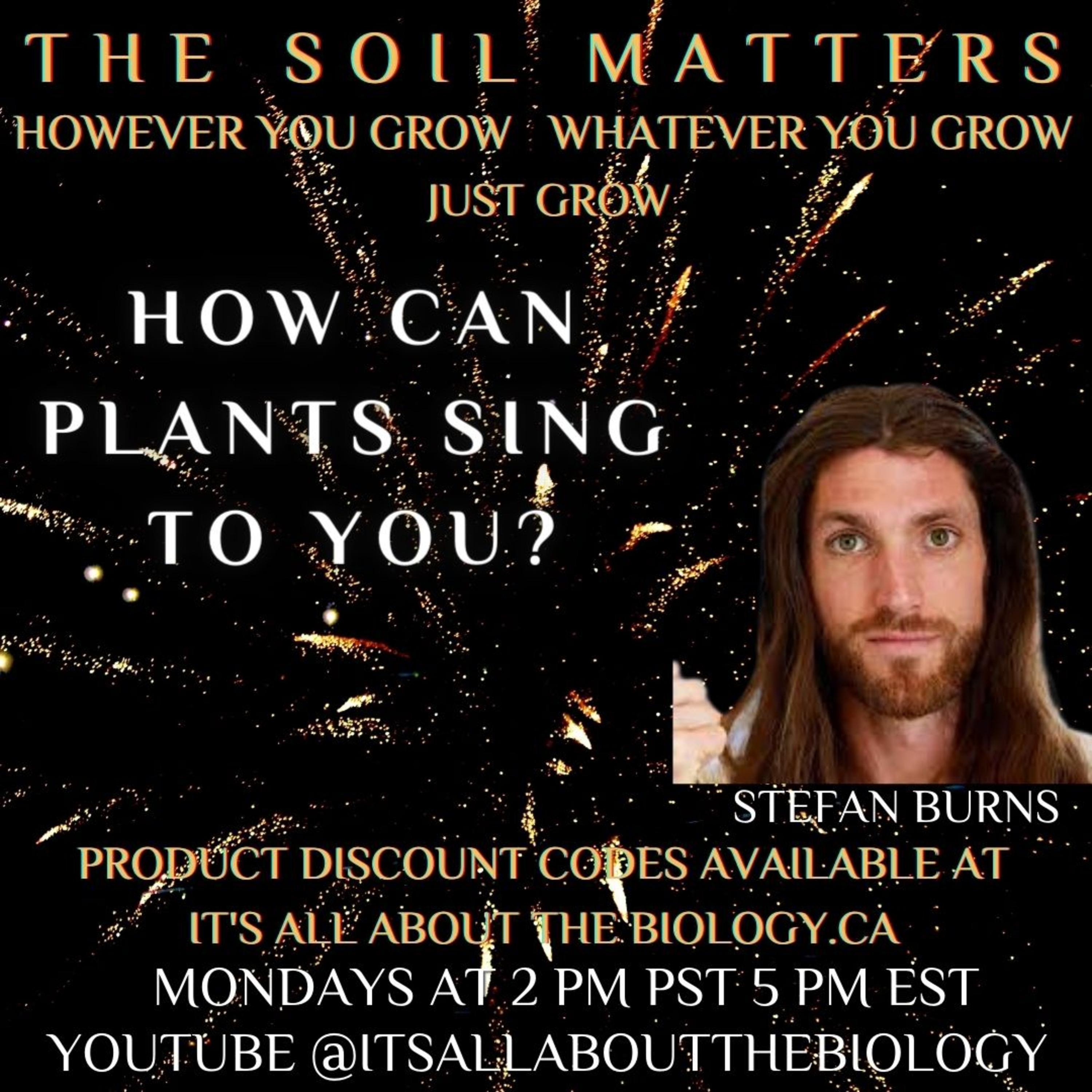 How Can Plants Sing to You?