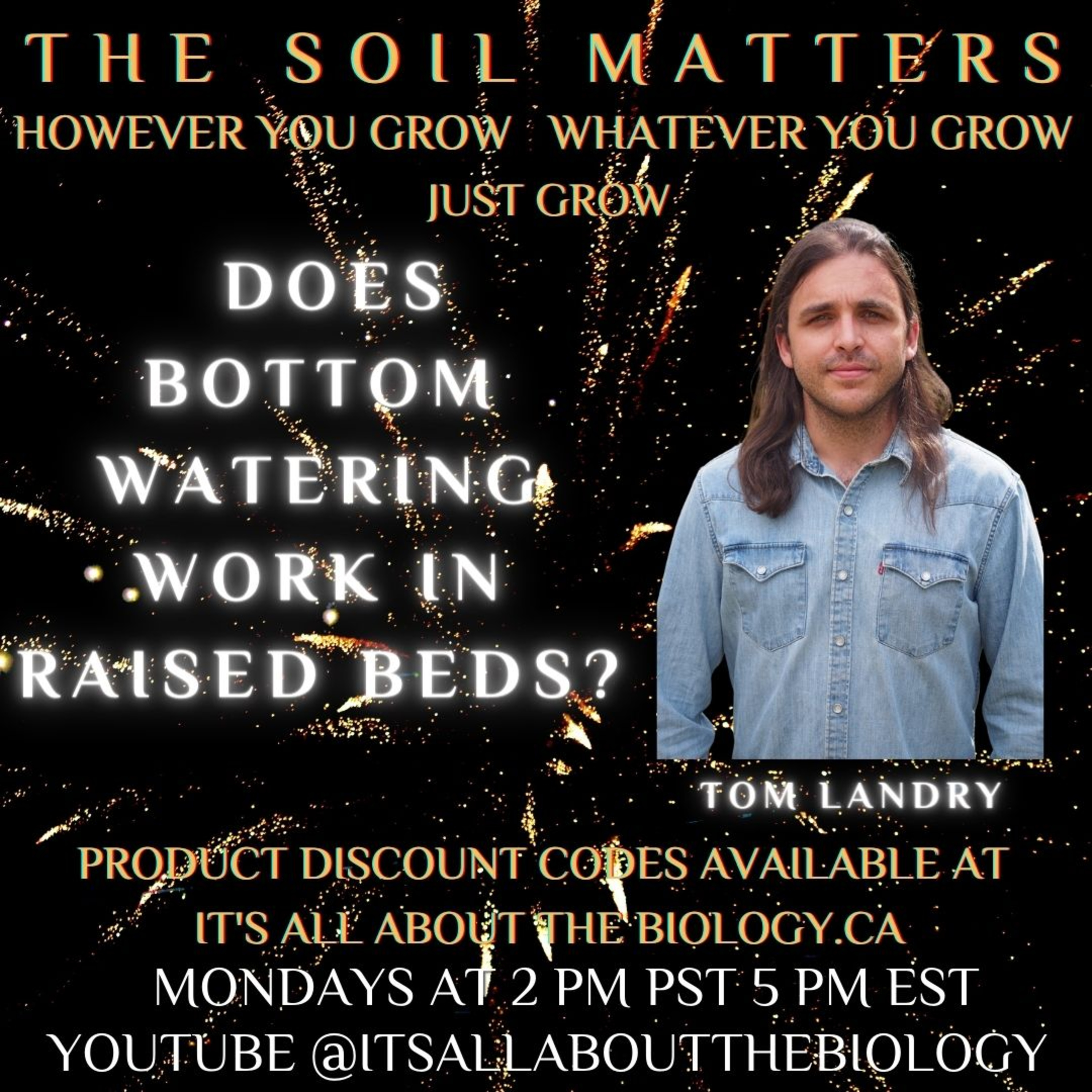 Does Bottom Watering Work In Raised Beds?