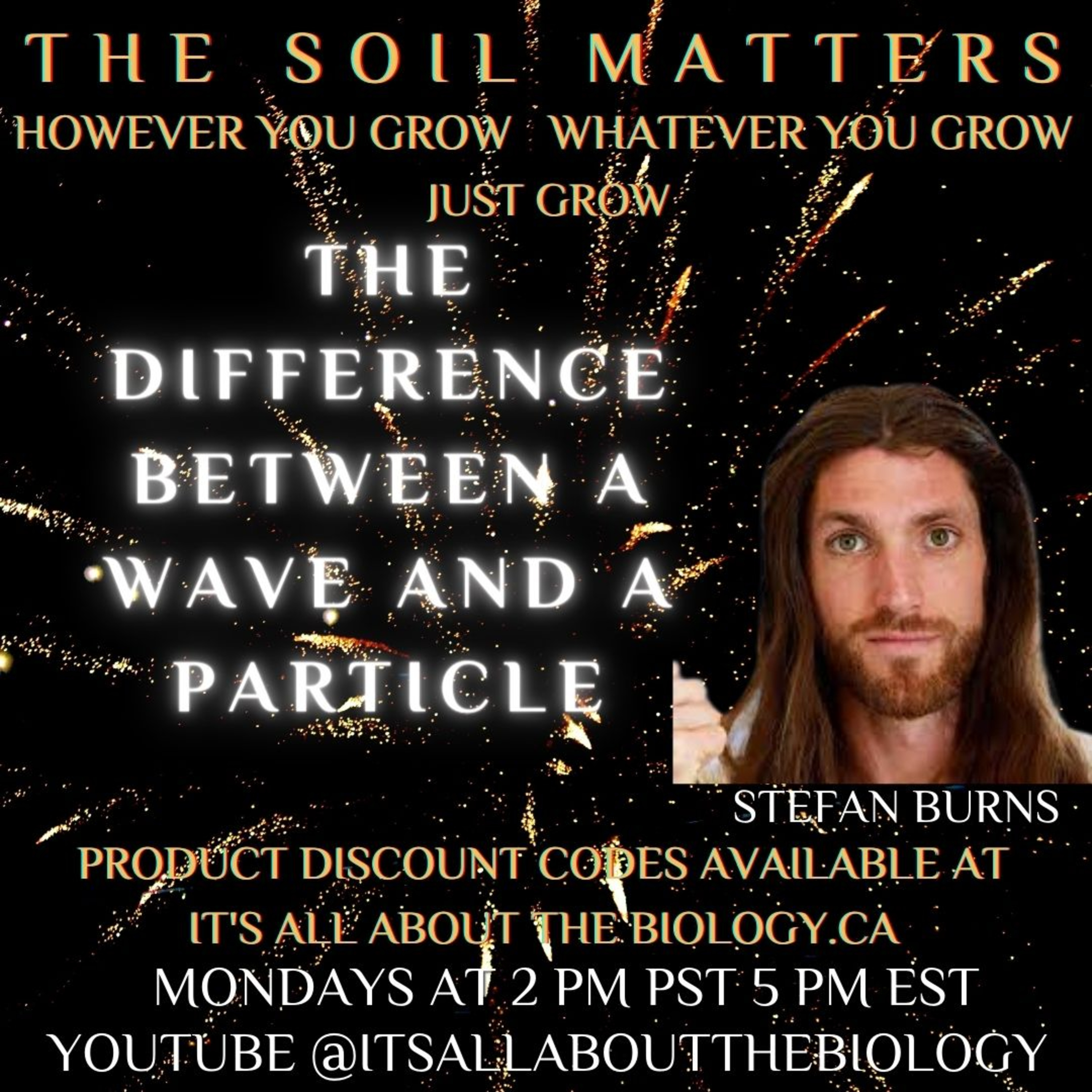 The Difference Between A Wave And A Particle?
