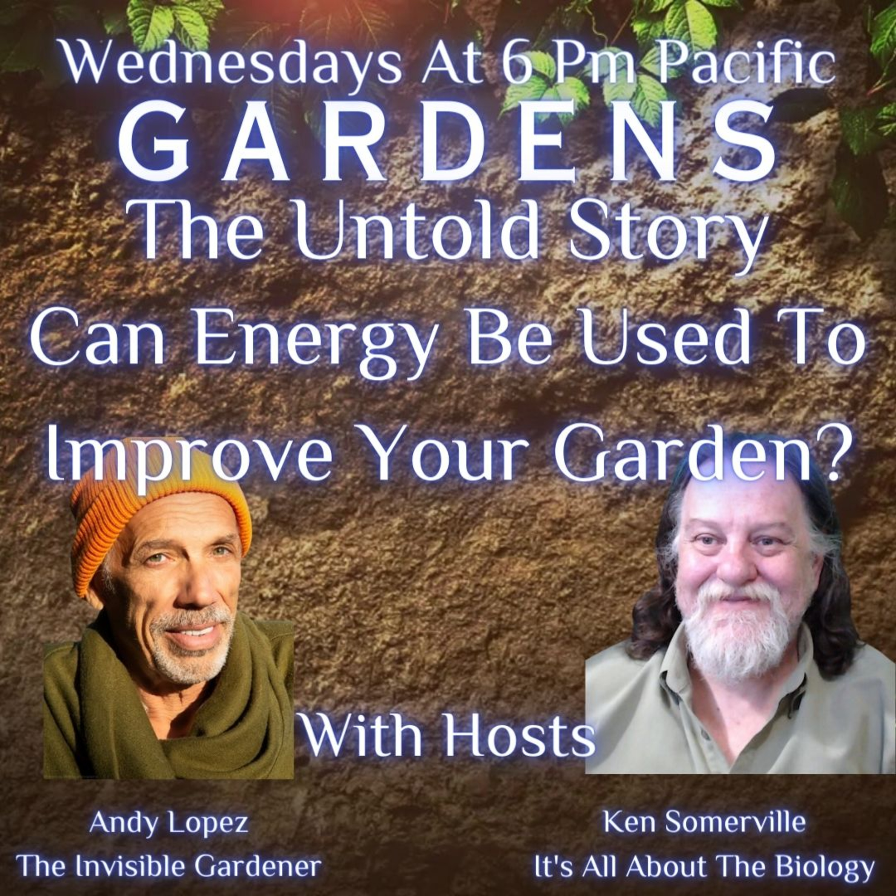 Can Energy Be Used To Improve Your Garden?