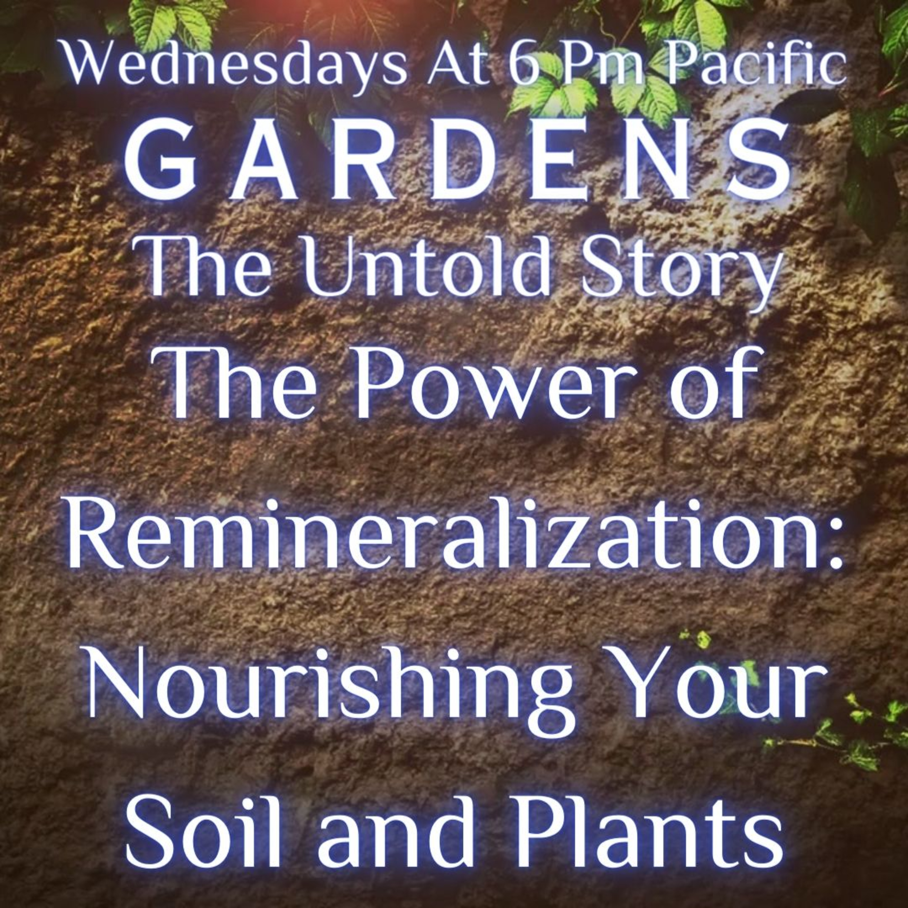Gardens The Untold Story: The Power of Remineralization: Nourishing Your Soil and Plants