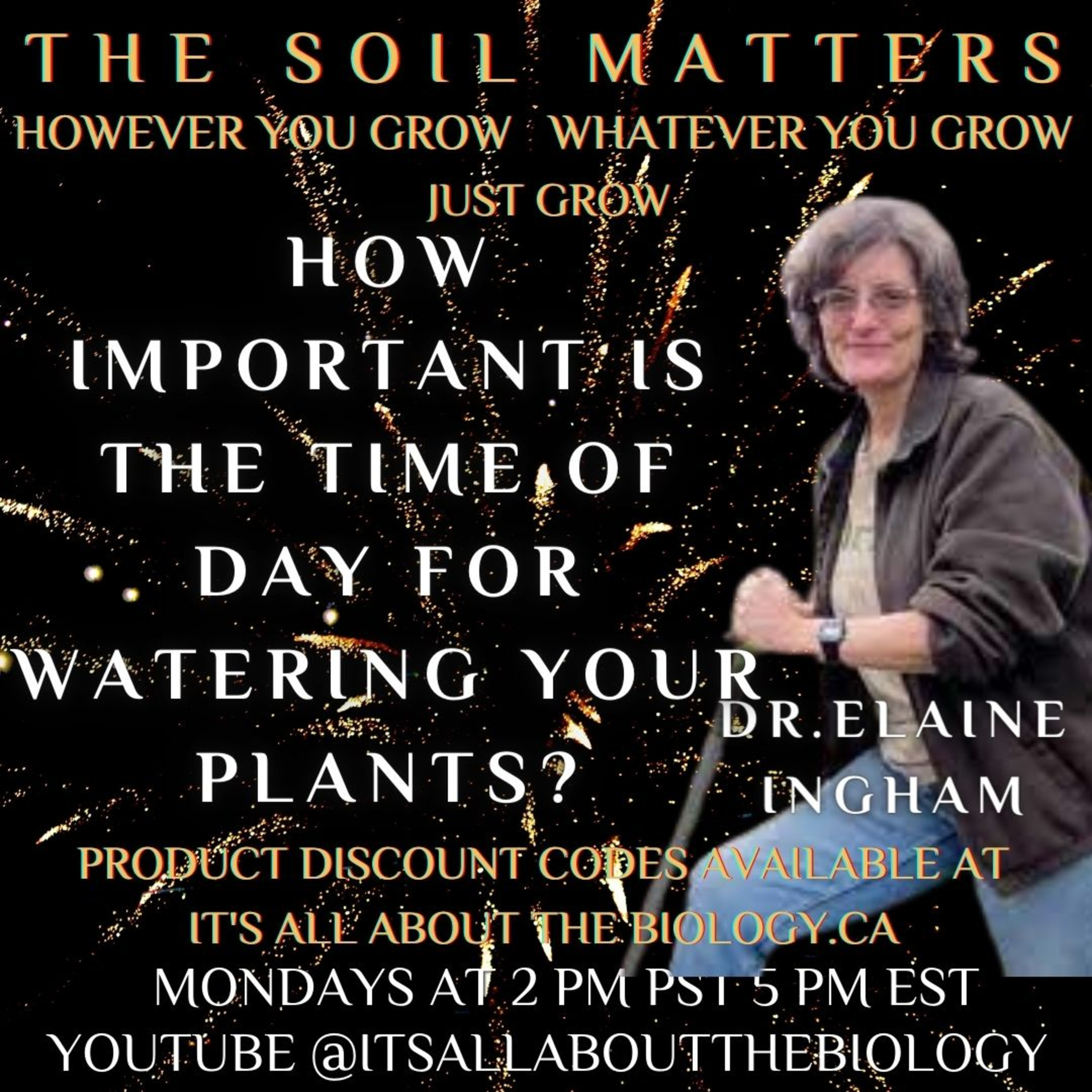 How Important Is The Time Of Day For Watering Your Plants?