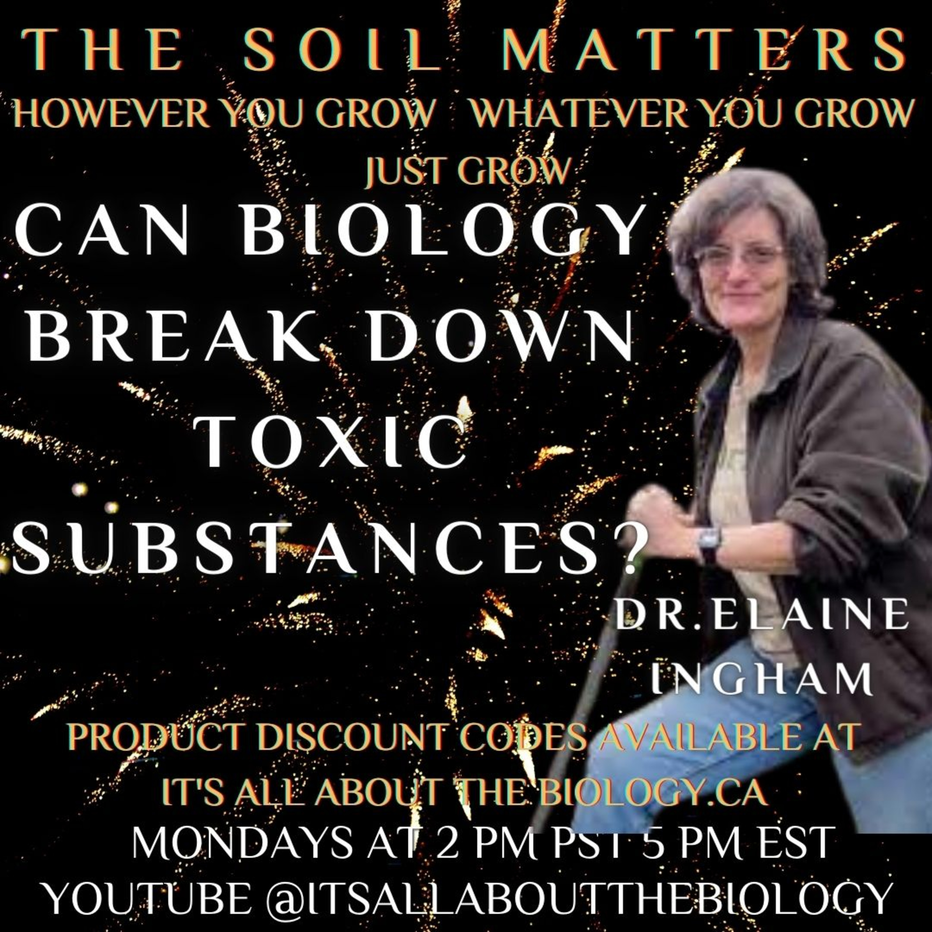 Can Biology Break Down Toxic Substances?