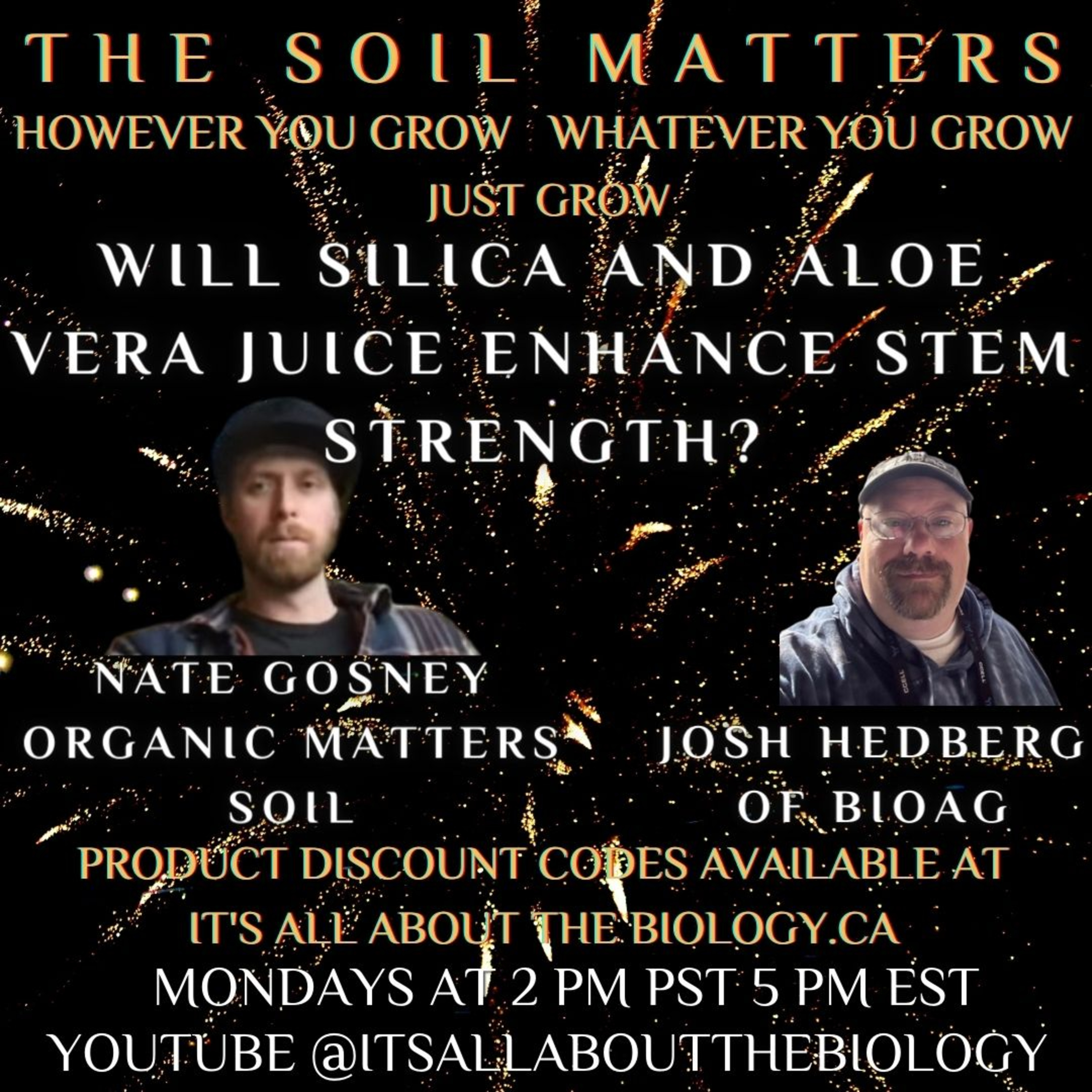 Will Silica And Aloe vera Juice Enhance Stem Strength?