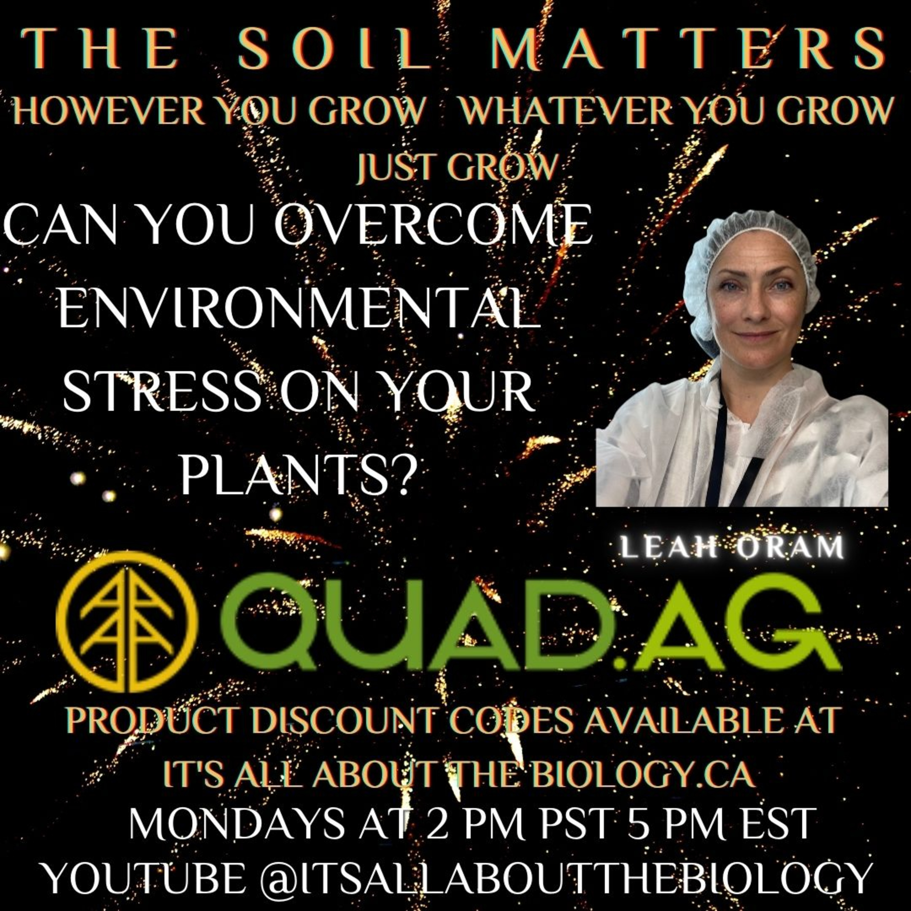Can You Overcome Environmental Stress On Your Plants?