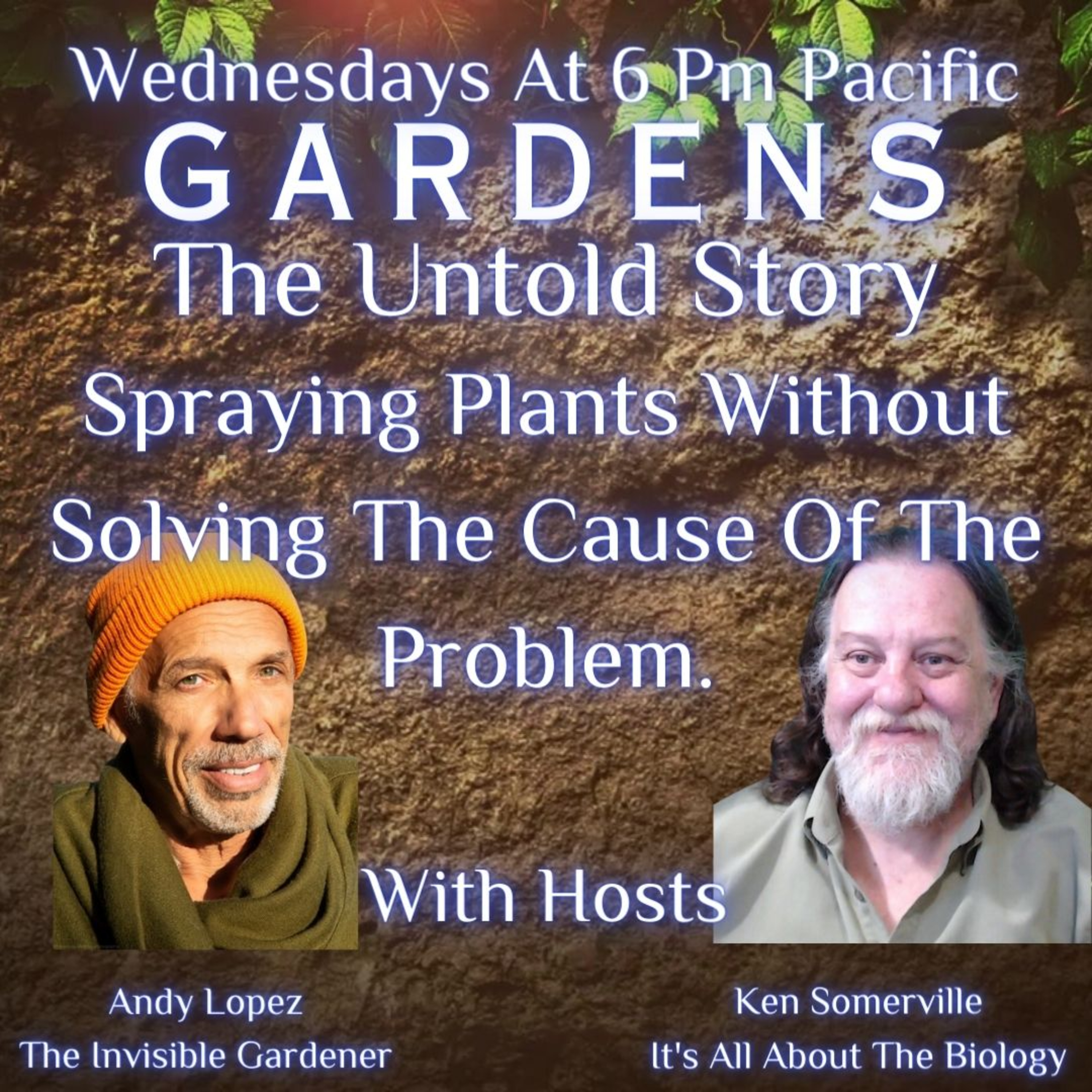Spraying Plants Without Solving The Cause Of The Problem.