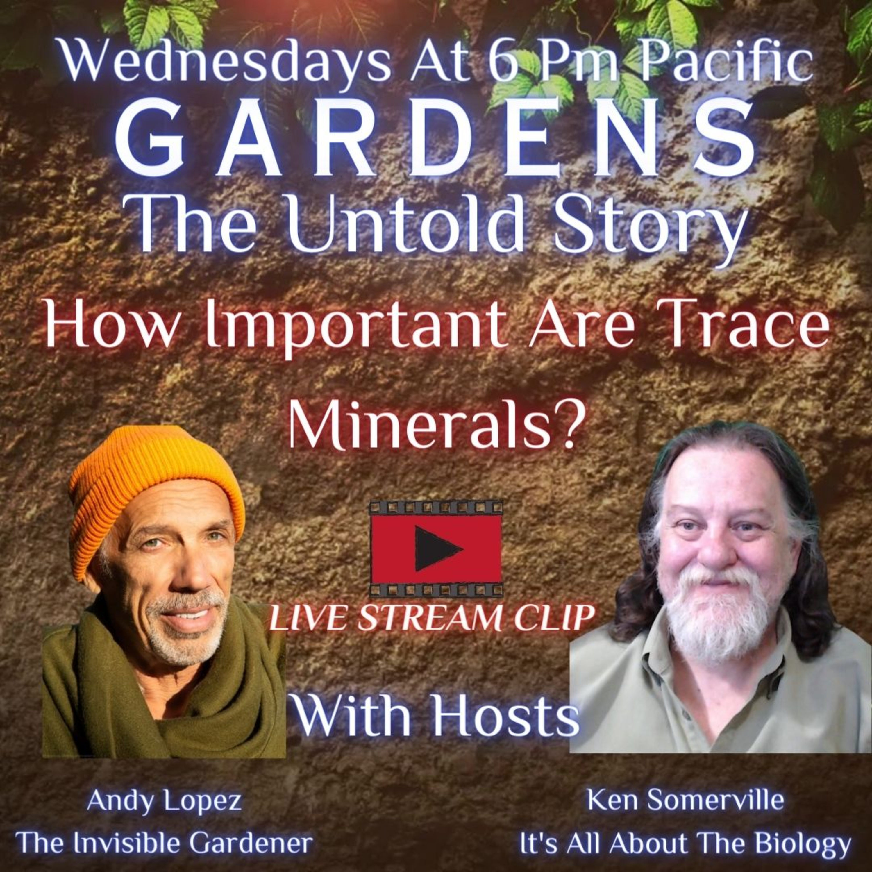 How Important Are Trace Minerals?