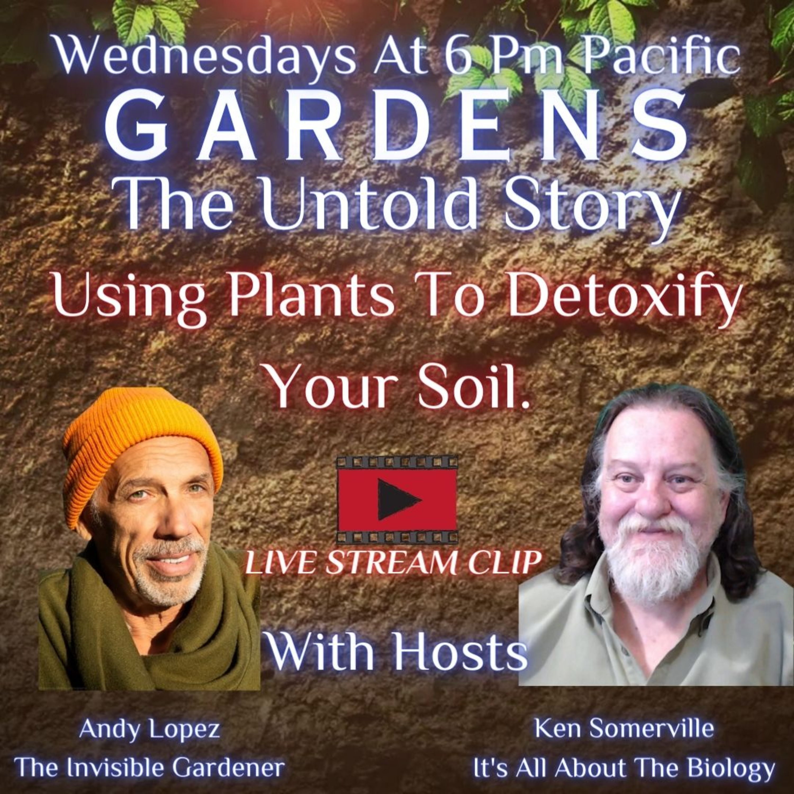 Using Plants To Detoxify Your Soil