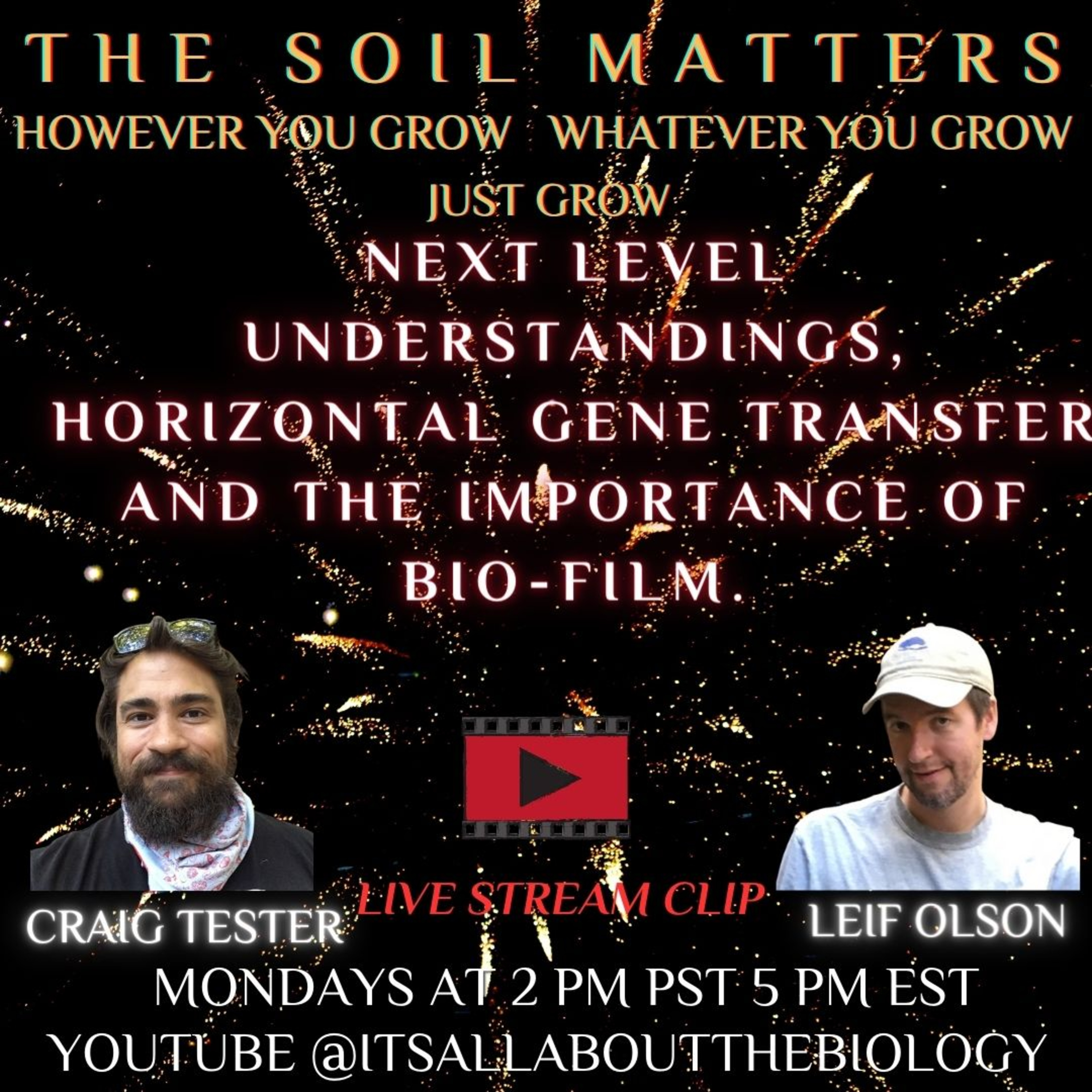 Next Level Understandings, Horizontal Gene Transfer, And The Importance Of Bio-Film