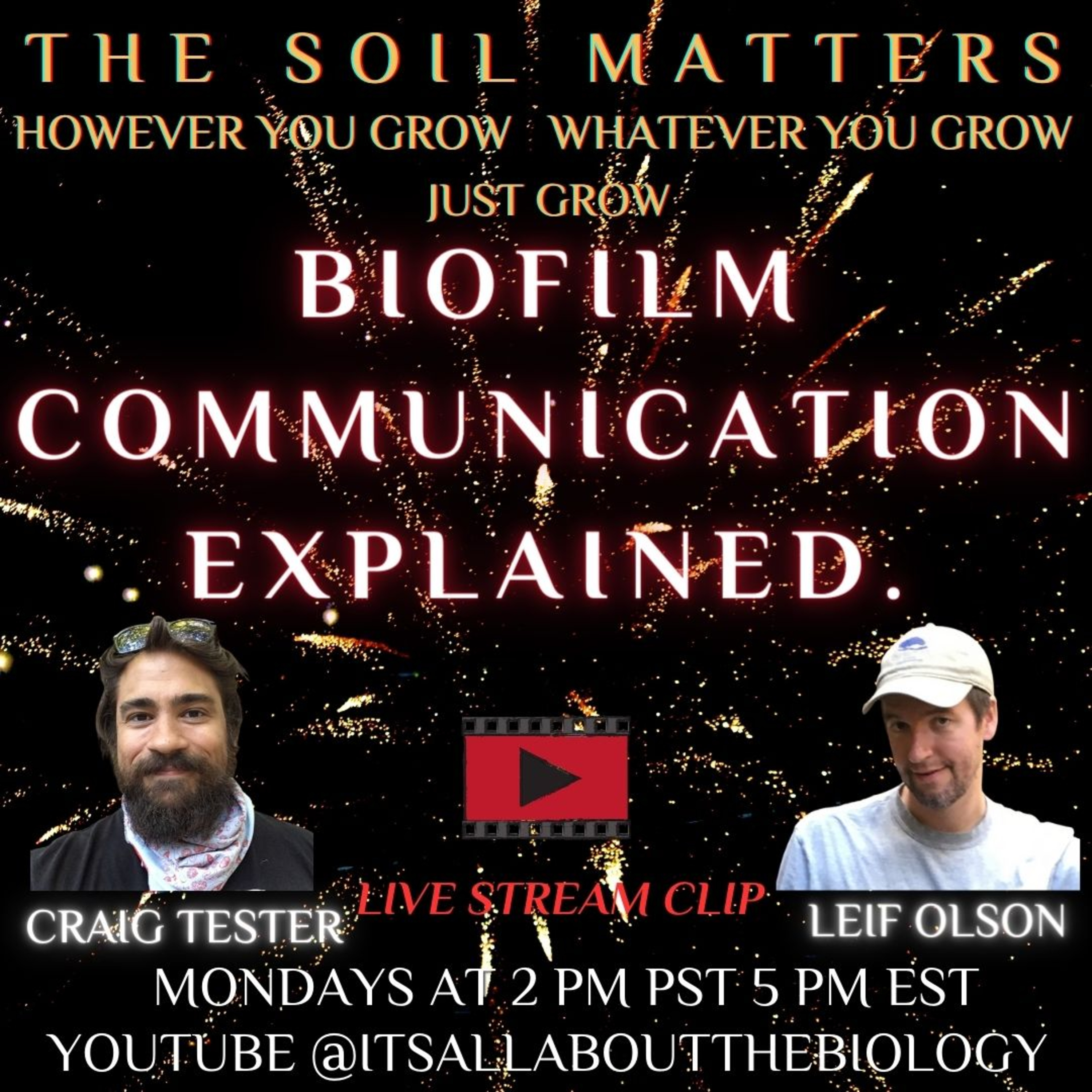 Biofilm Communication Explained