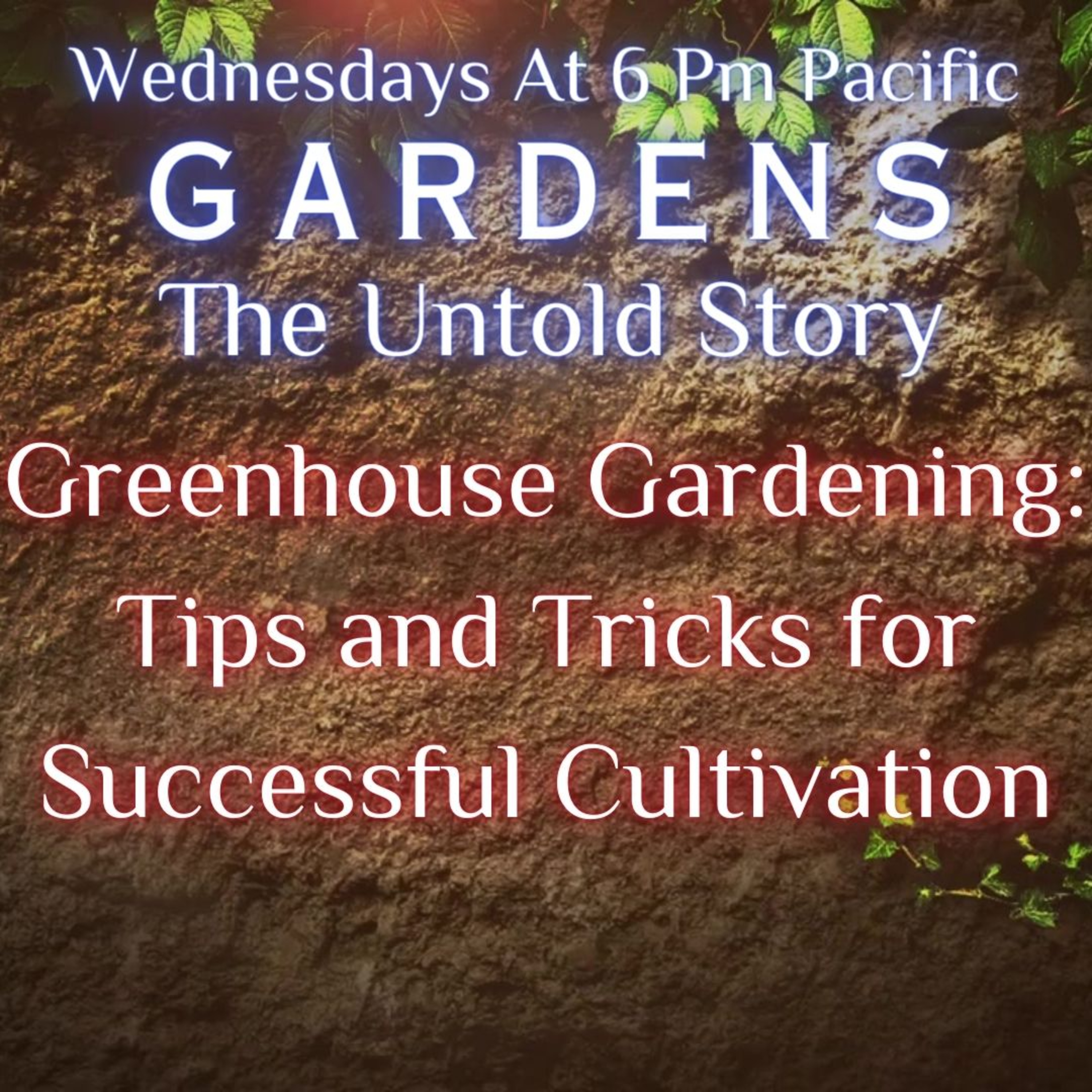 Greenhouse Gardening: Tips and Tricks for Successful Cultivation