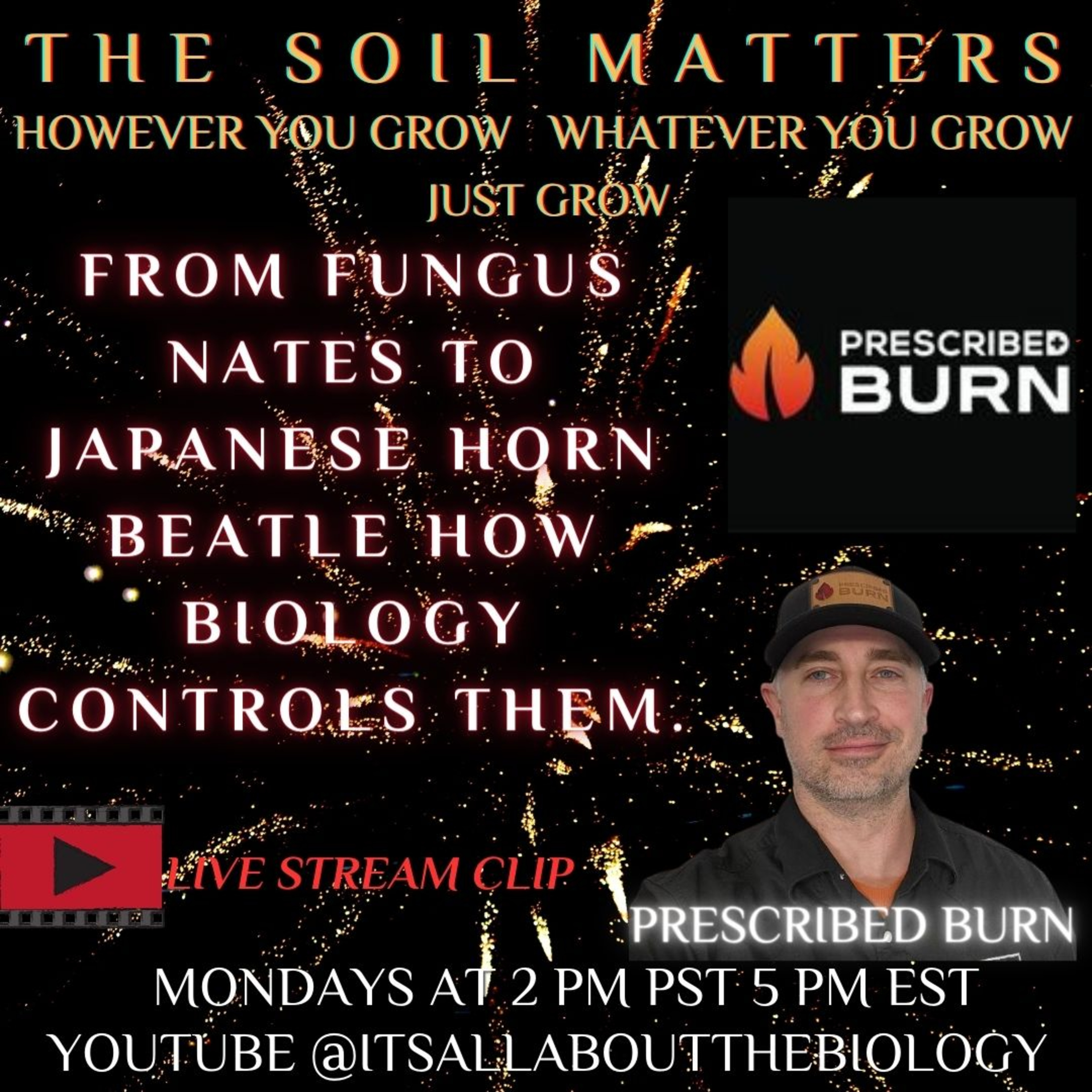 From Fungus Nates To Japanese Horn Beatle: How Biology Controls Them