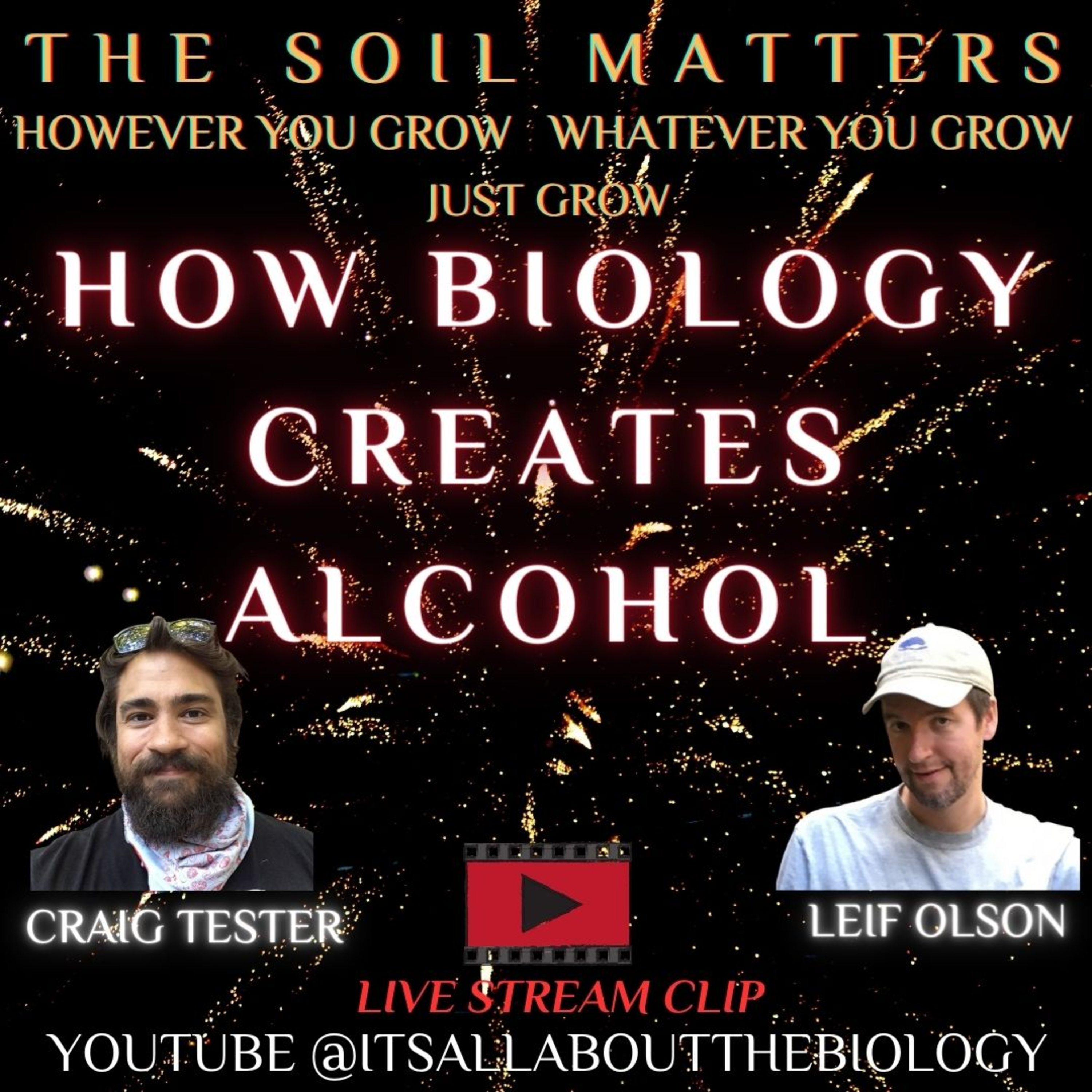 How Biology Creates Alcohol