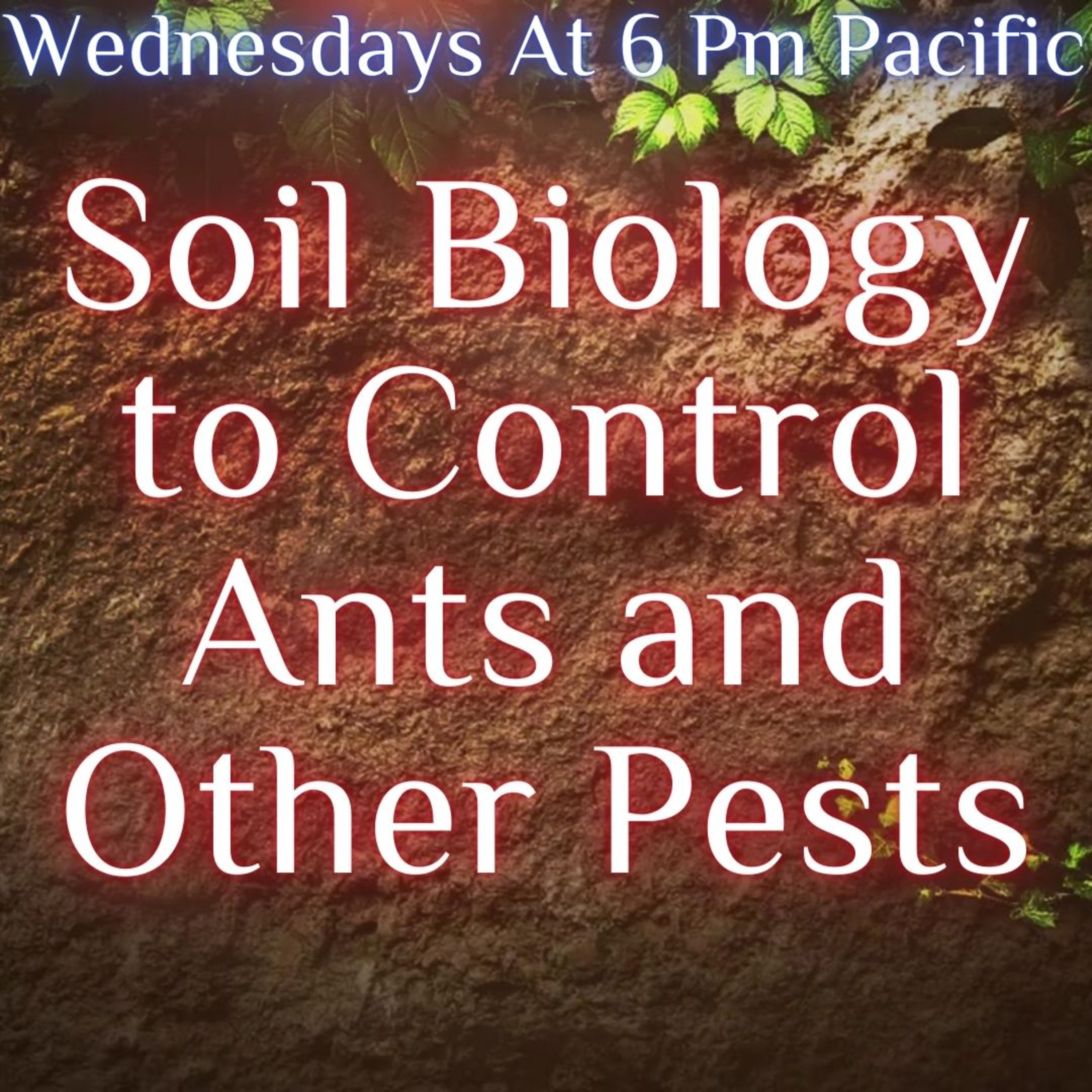 Gardens The Untold Story: Soil Biology to Control Ants and Other Pests.