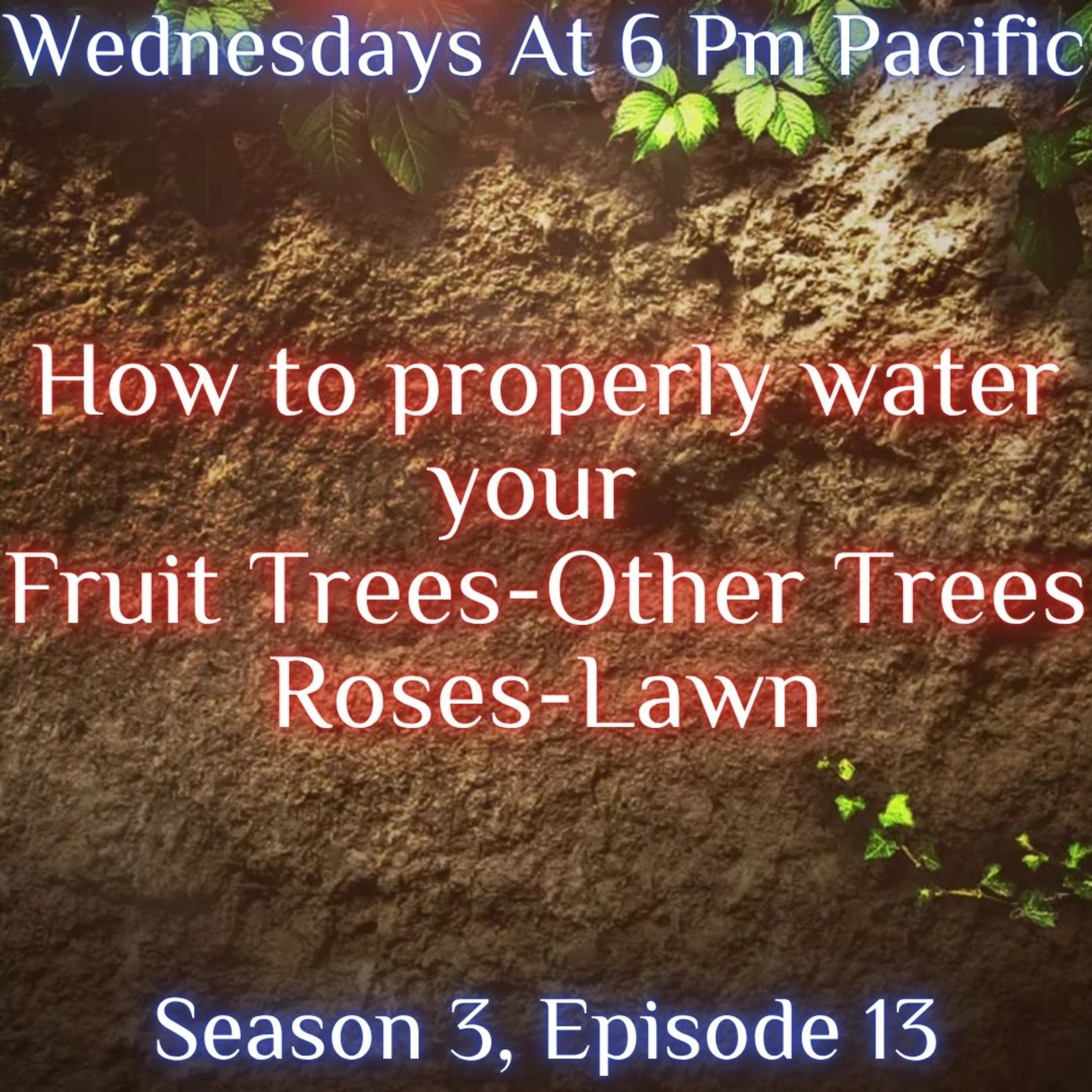 The Soil Matters With Leighton Morrison