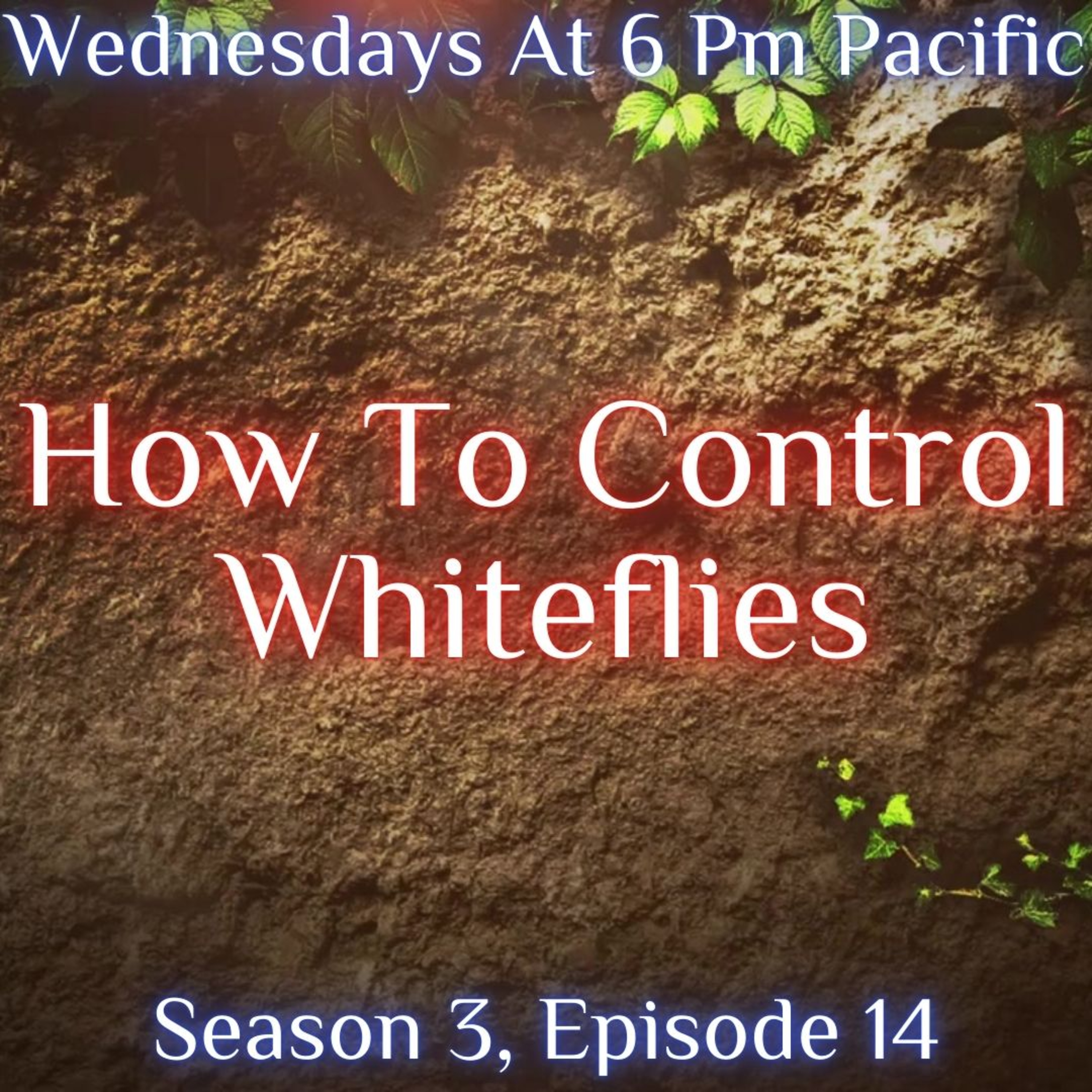The Soil Matters With Leighton Morrison