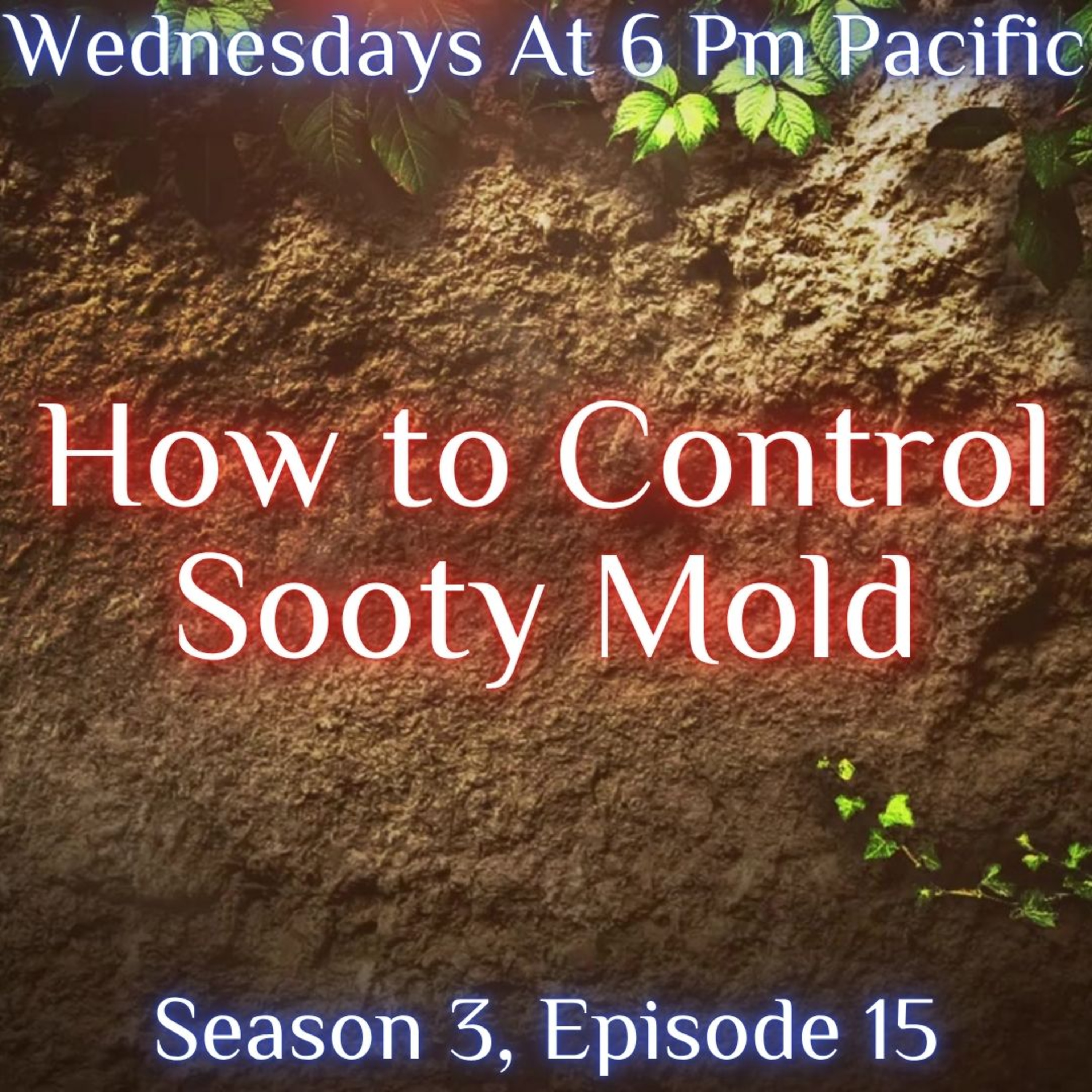The Soil Matters With Leighton Morrison