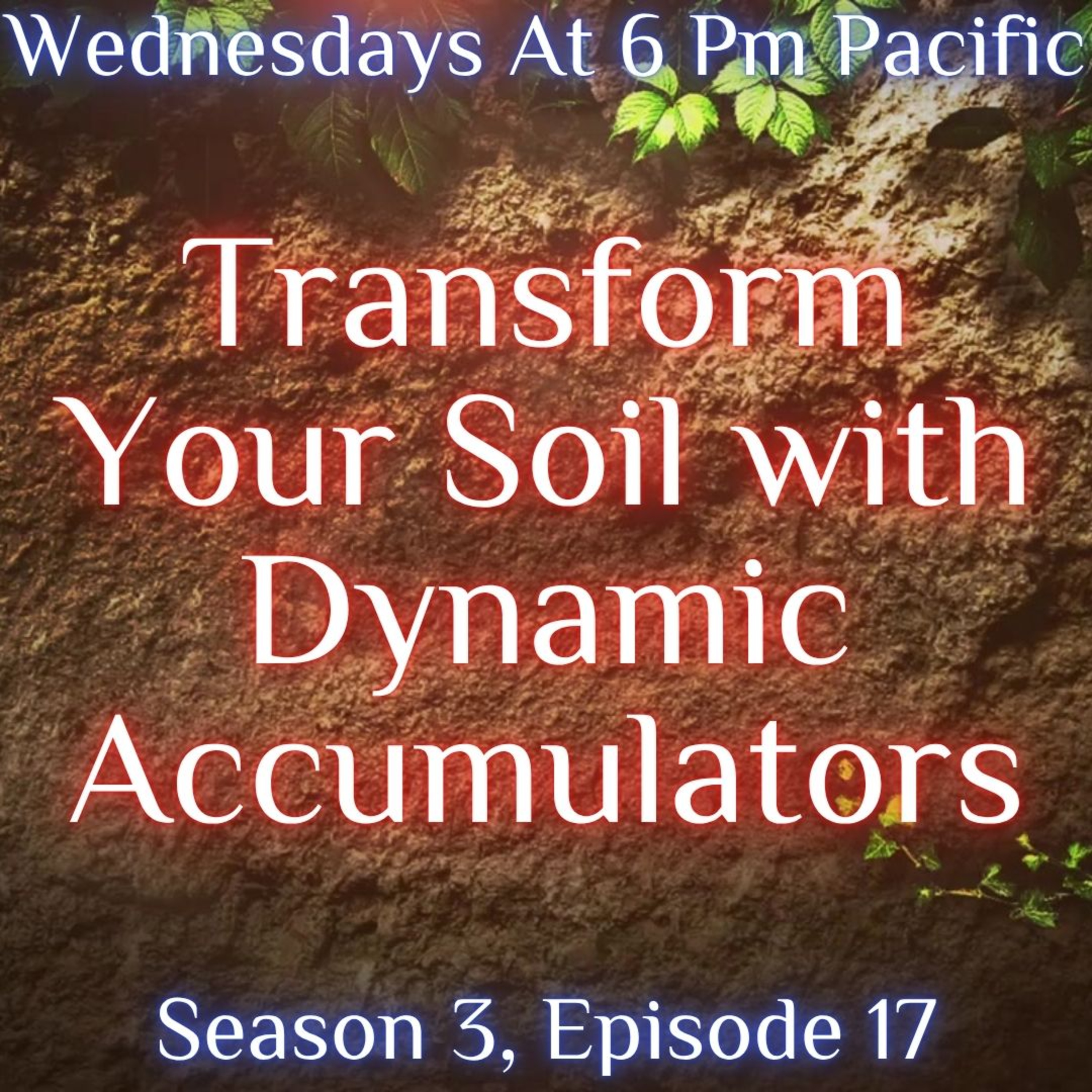 The Soil Matters With Leighton Morrison