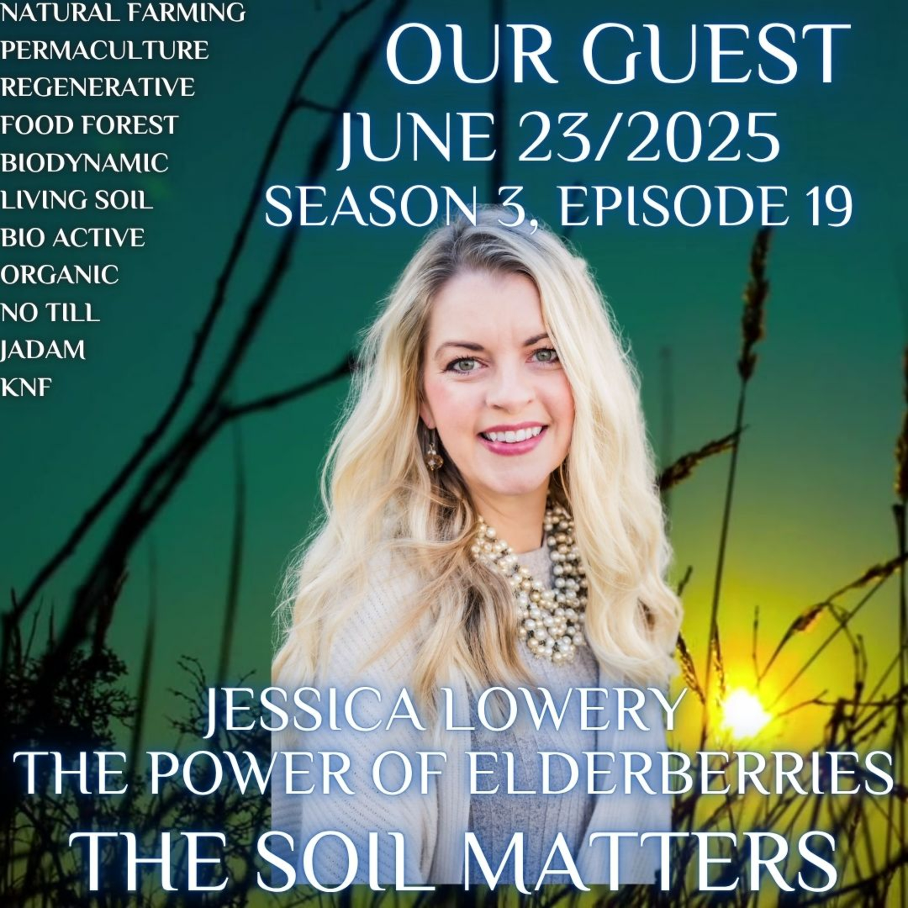 Jessica Lowery The Power of Elderberries