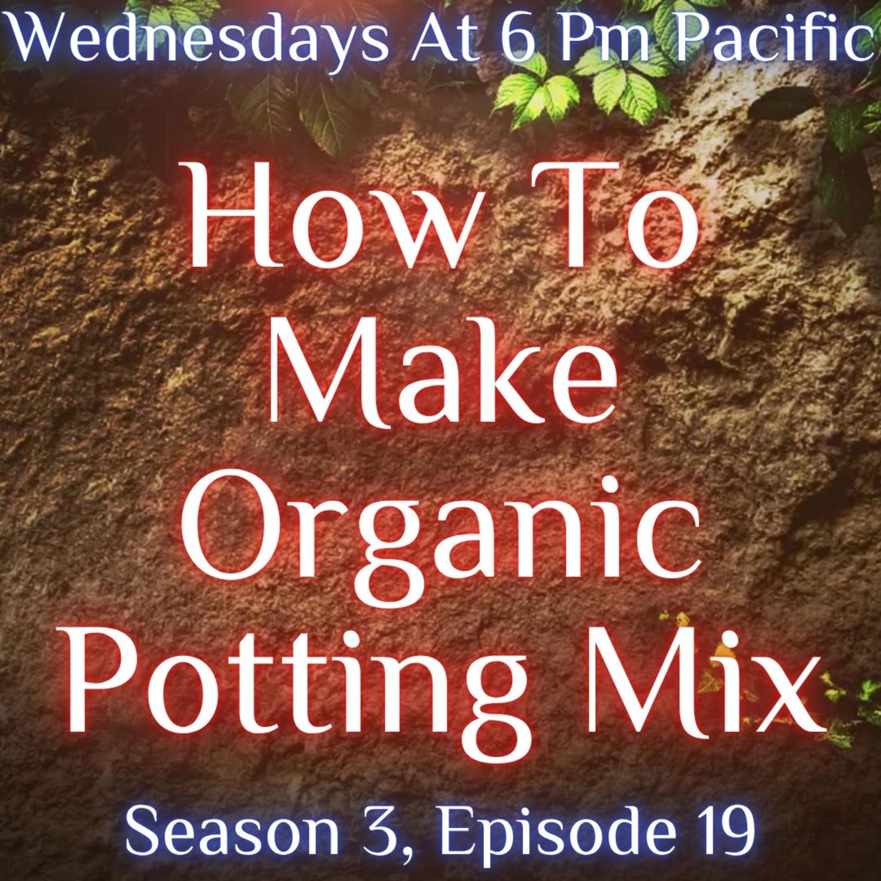 The Soil Matters With Leighton Morrison