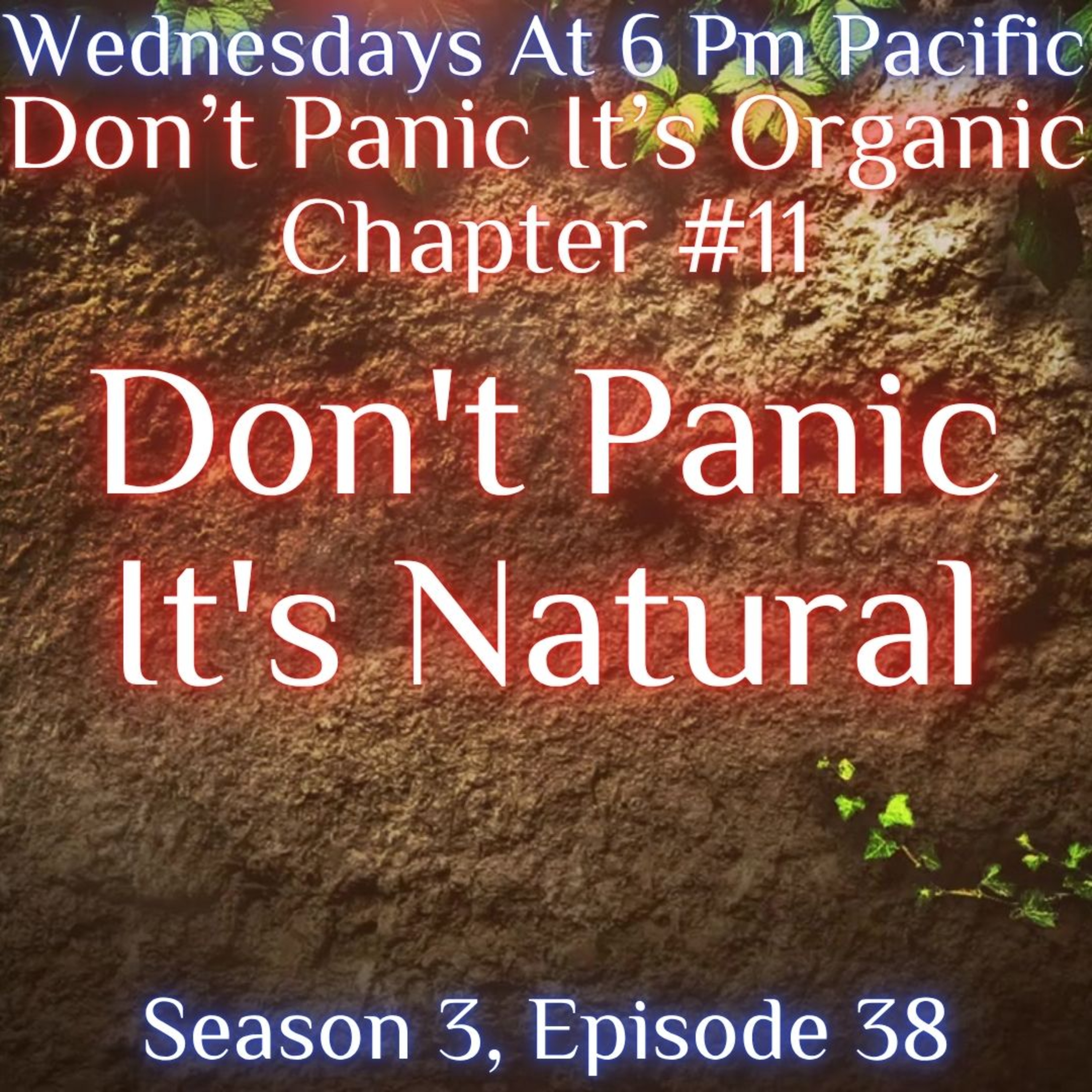 Gardens The Untold Story: Don’t Panic It’s Natural