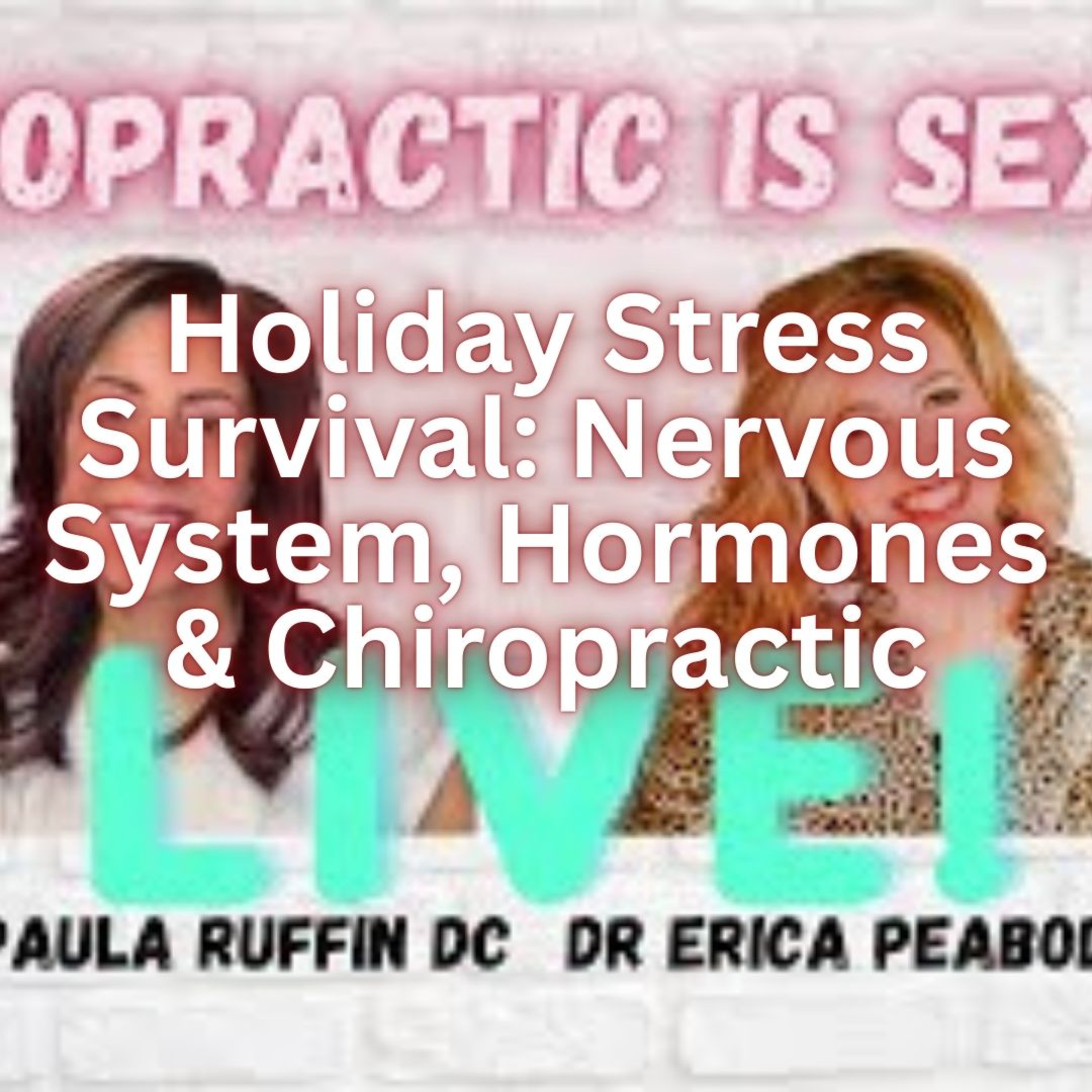 Holiday Stress Survival: Nervous System, Hormones & Chiropractic