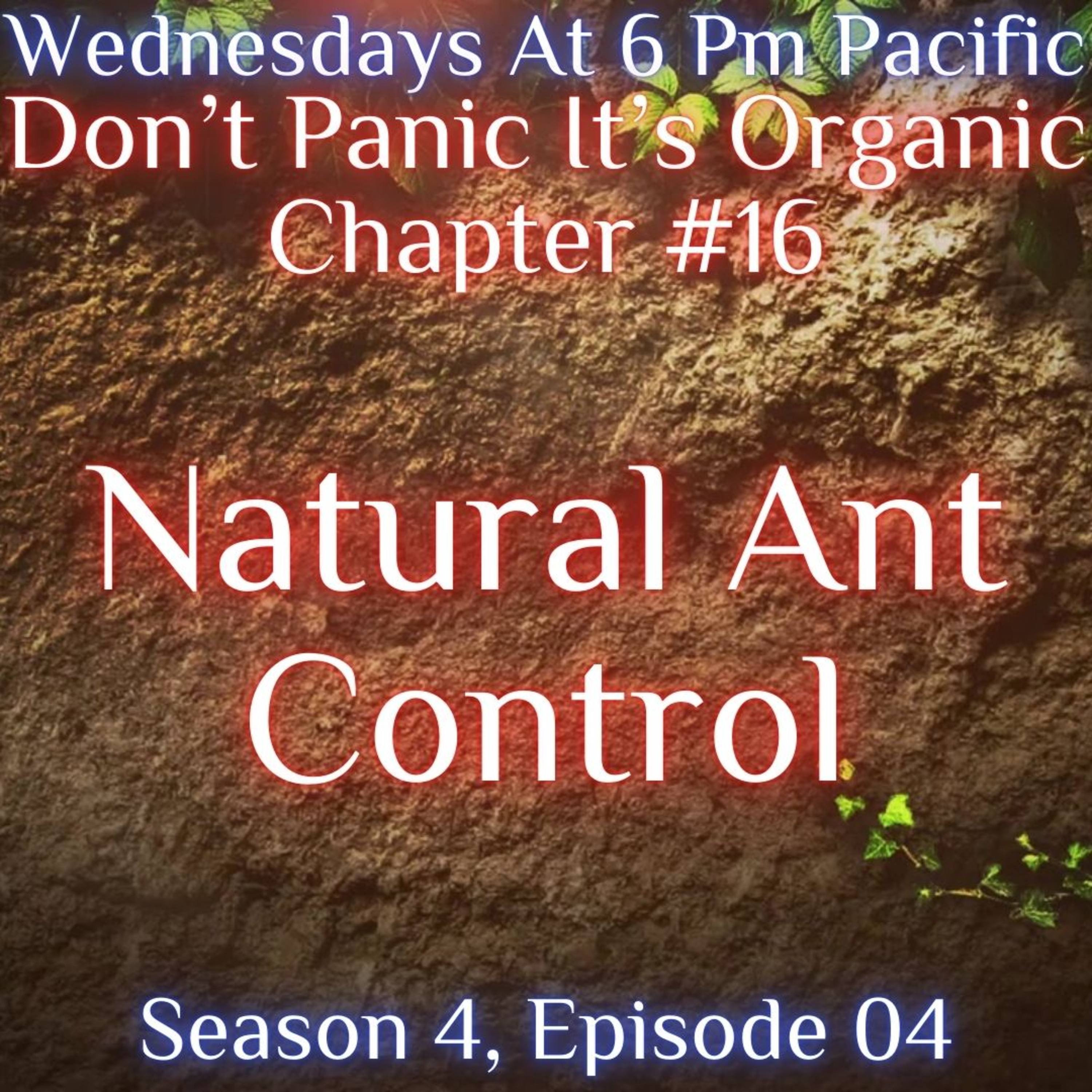 Natural Ant Control