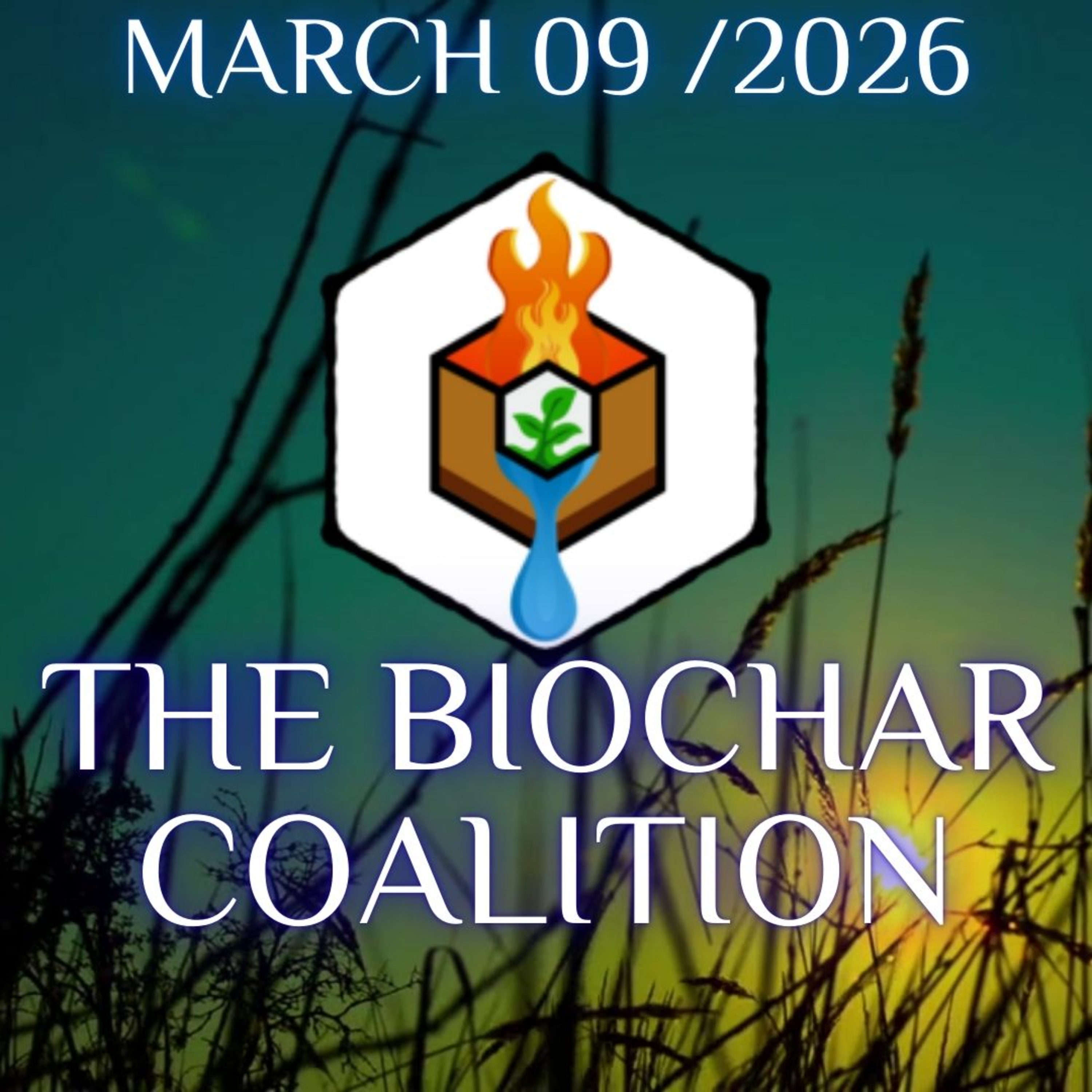 The Biochar Coalition episode artwork