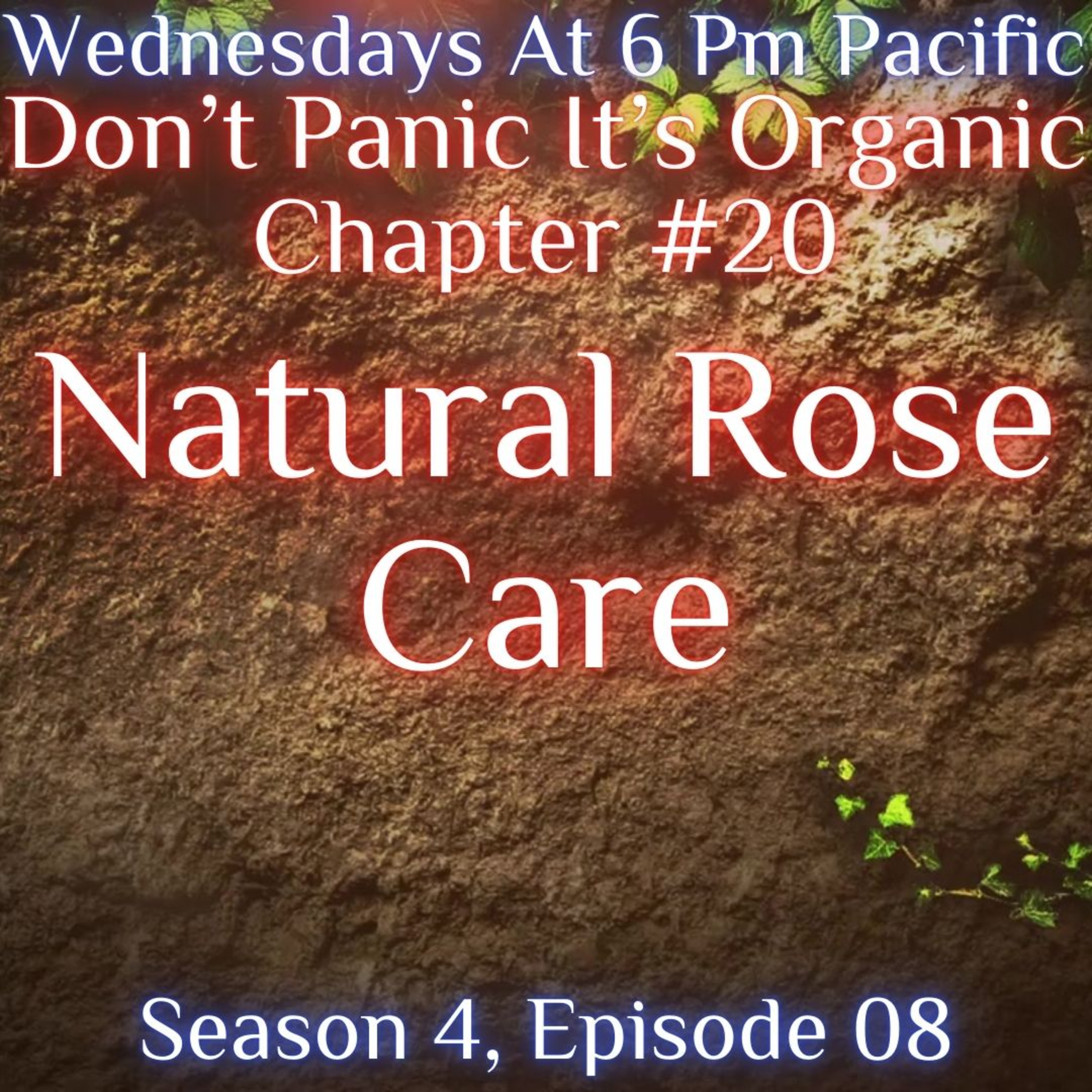 Natural Rose Care episode artwork