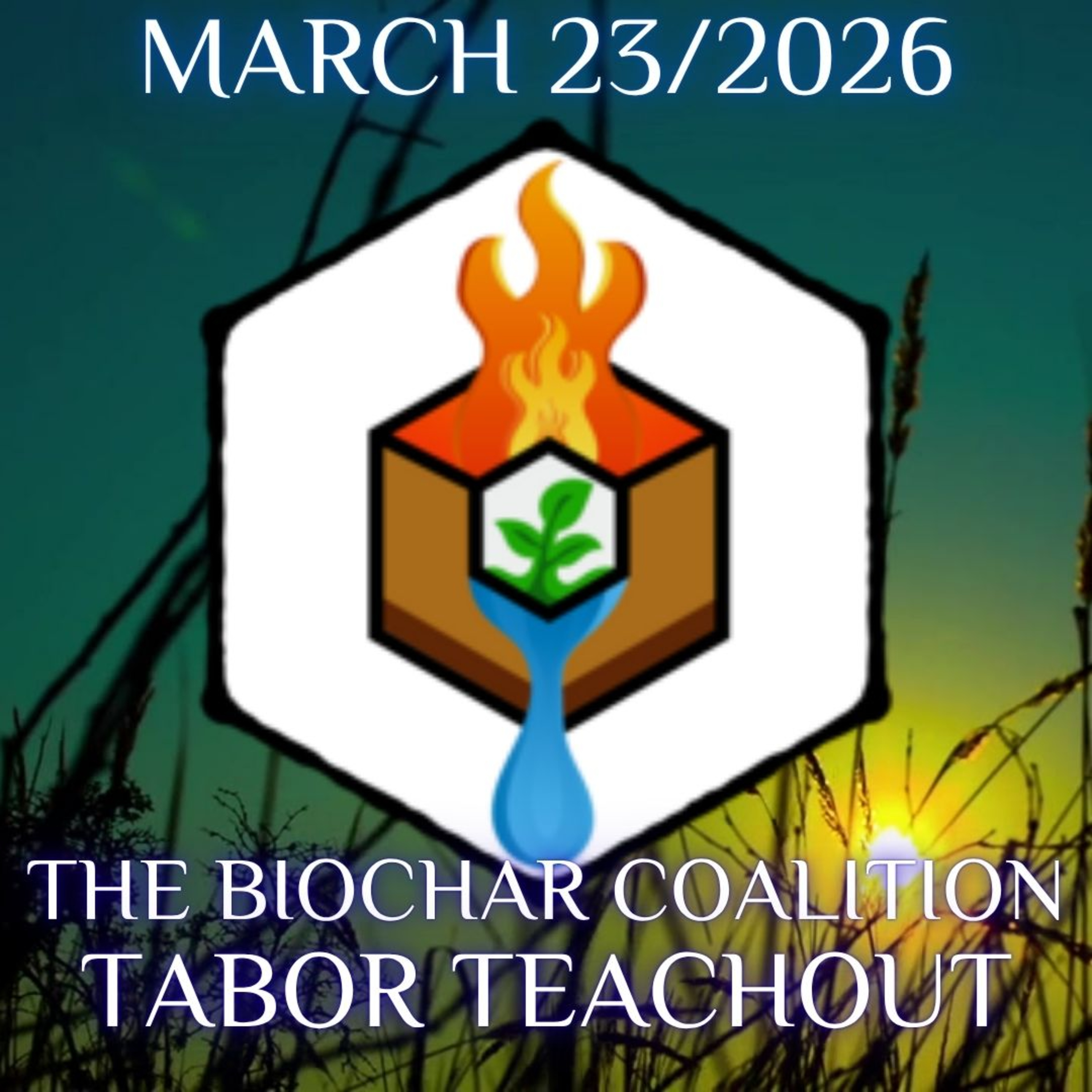 The Biochar Coalition Tabor Teachout  episode artwork