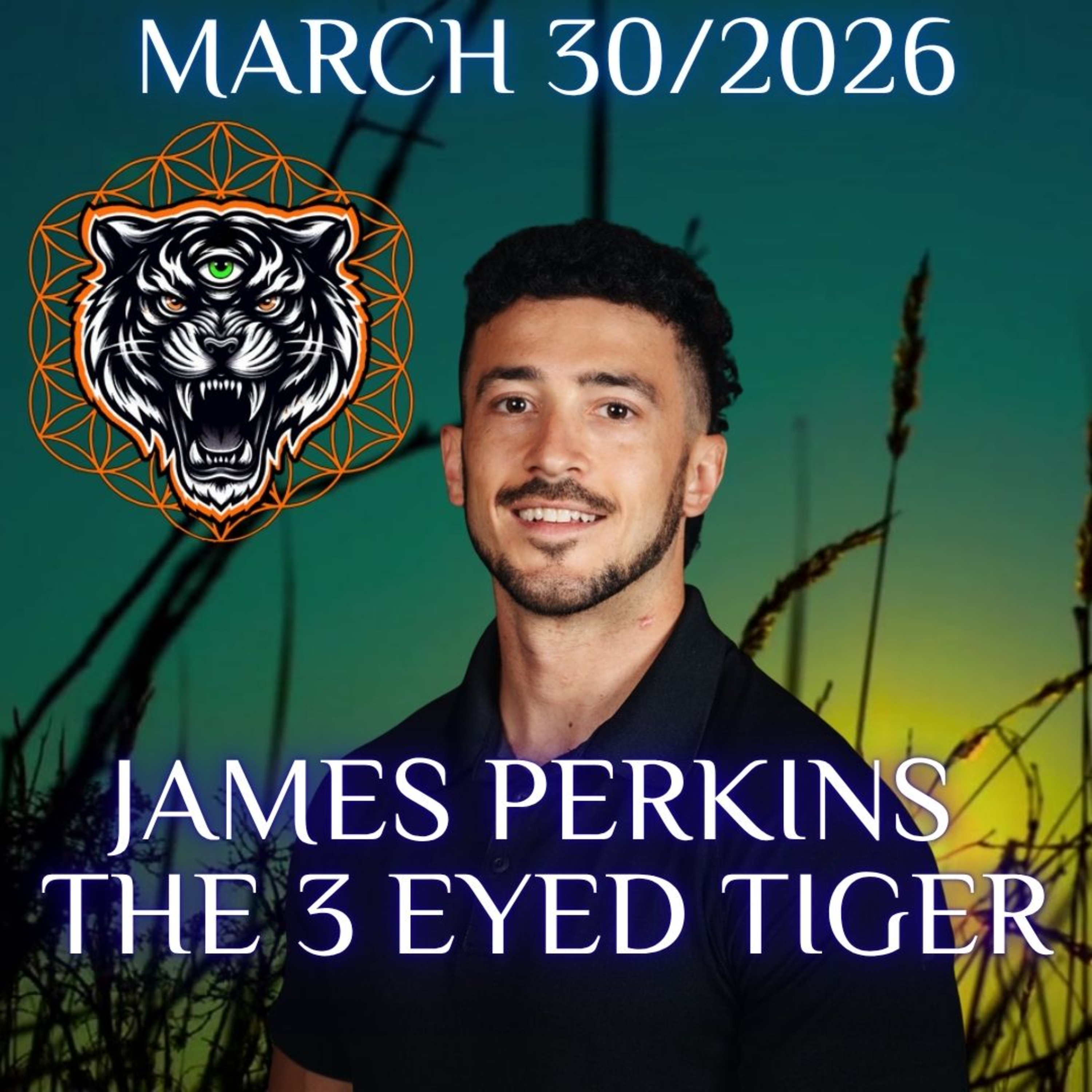 James Perkins The 3 Eyed Tiger episode artwork