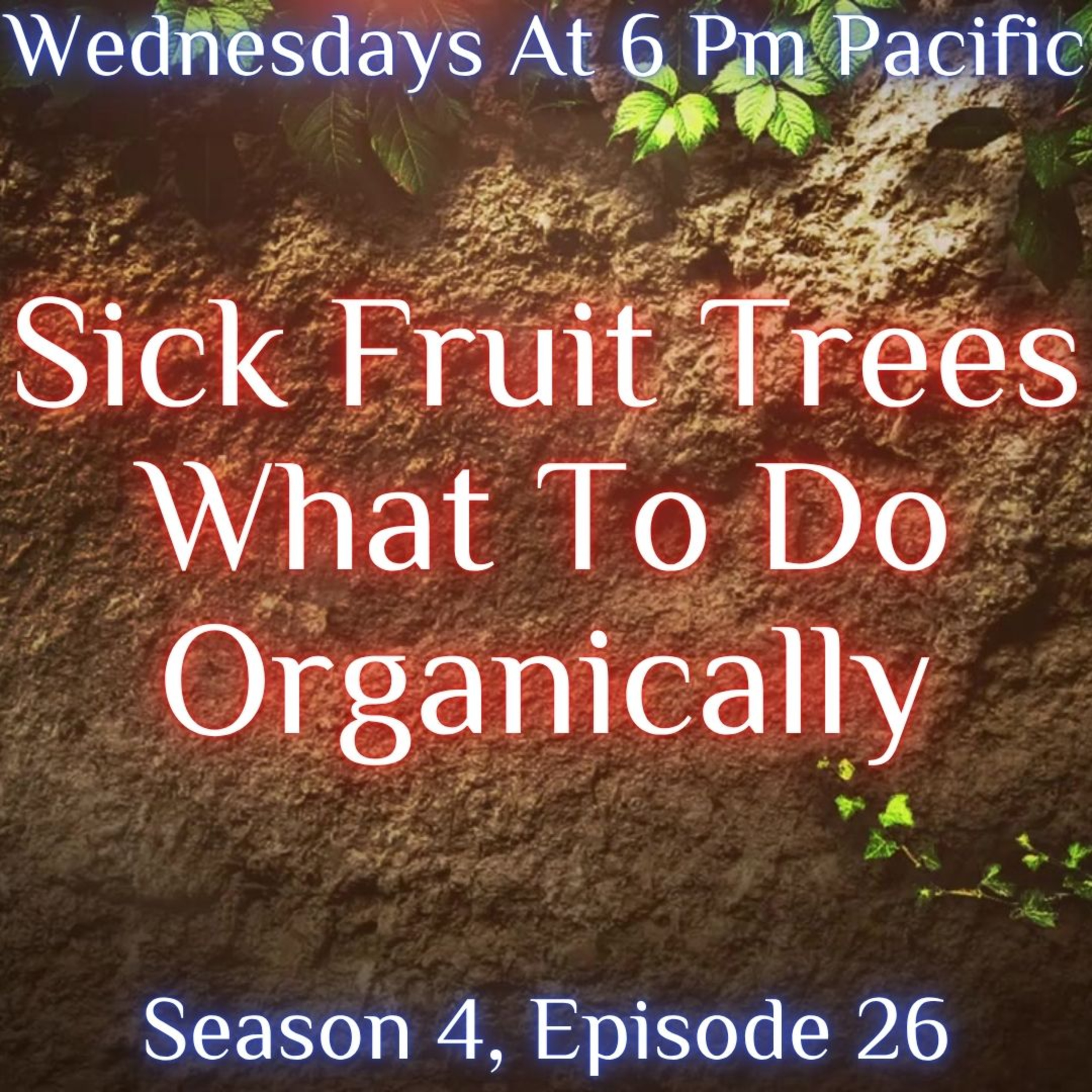 Sick Fruit Trees What To Do Organically episode artwork