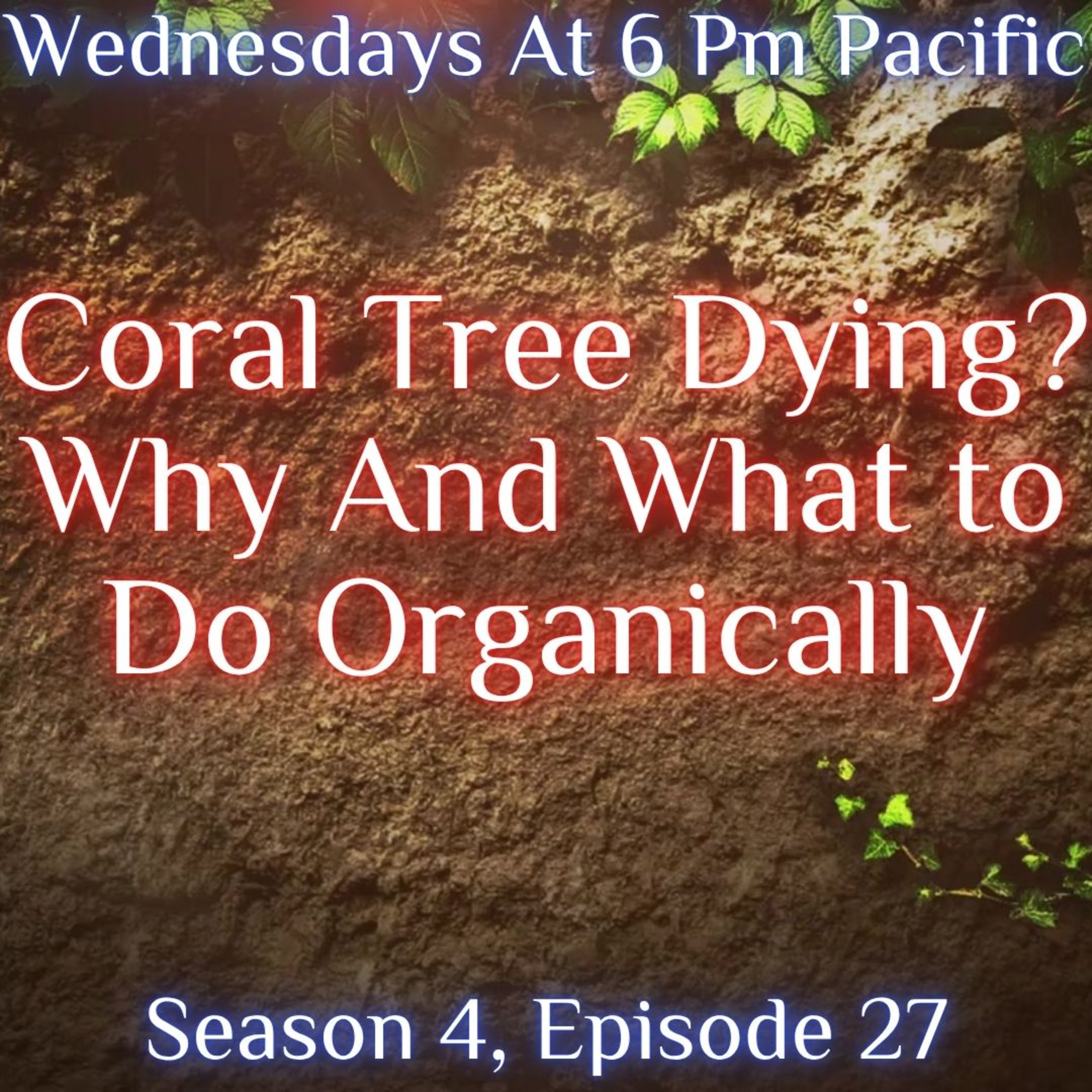 Coral Tree Dying? Why And What to Do Organically episode artwork