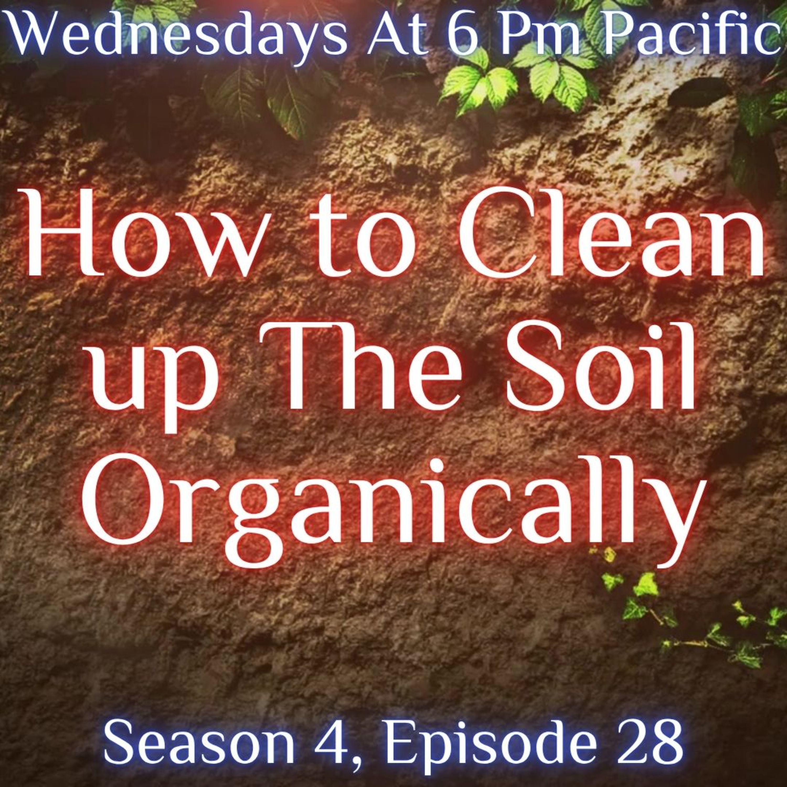 How to Clean up The Soil Organically episode artwork