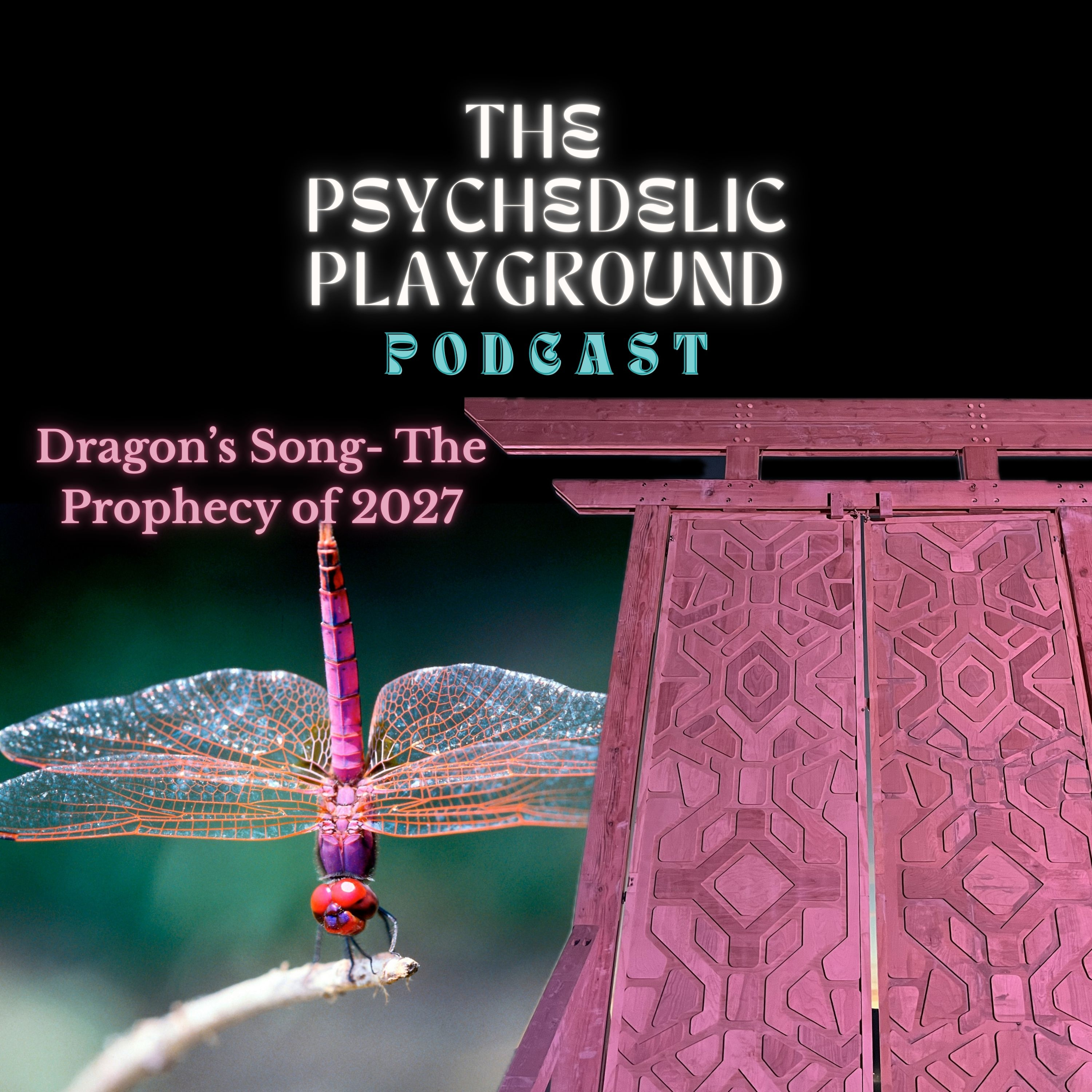 Dragon's Song- Prophecy of 2027 (The Dragonfly's Dream- Weaving Human Design, Gene Keys, & Intuitive Knowing) episode artwork