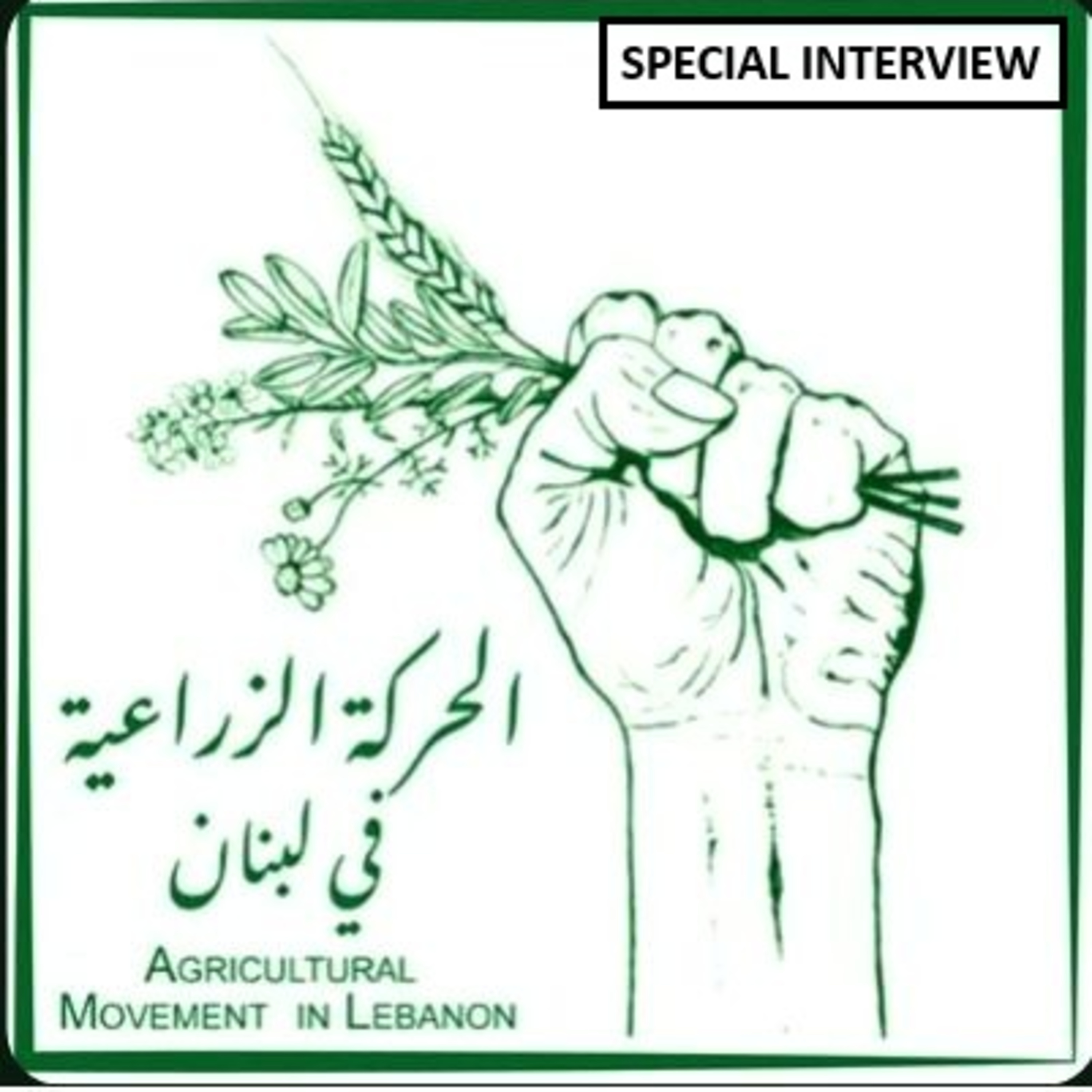 SNV Special Interview: Lebanon - War & Seeds episode artwork