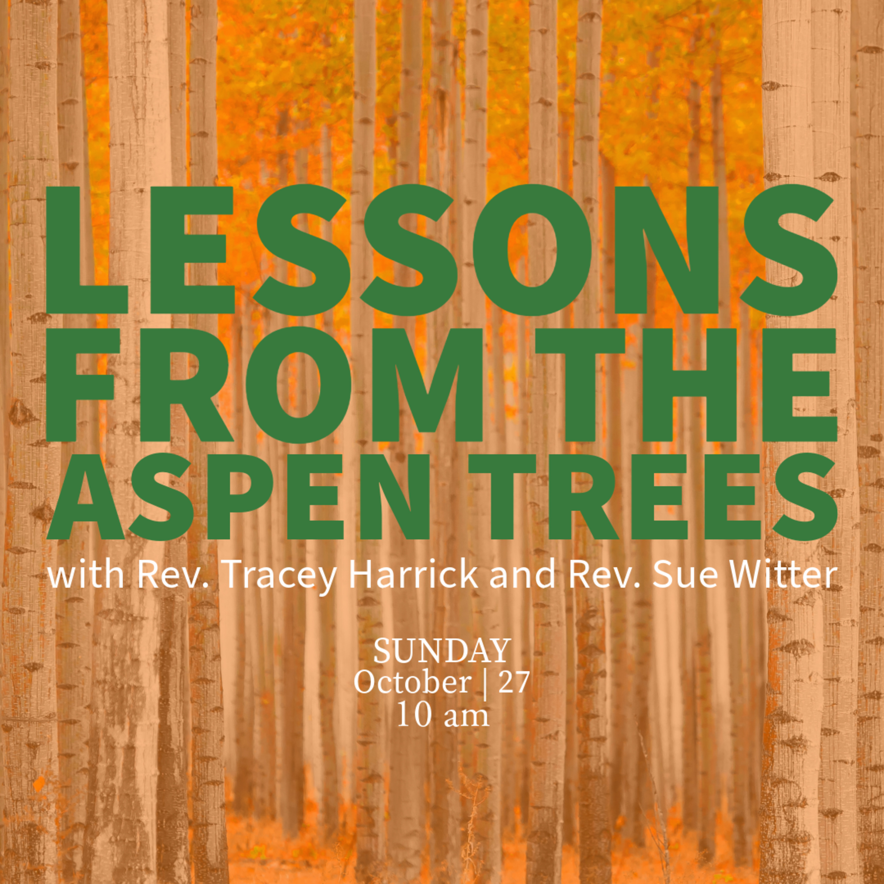 Rev. Tracey Harrick and Rev. Sue Witter - Lessons from the Aspen Trees episode artwork