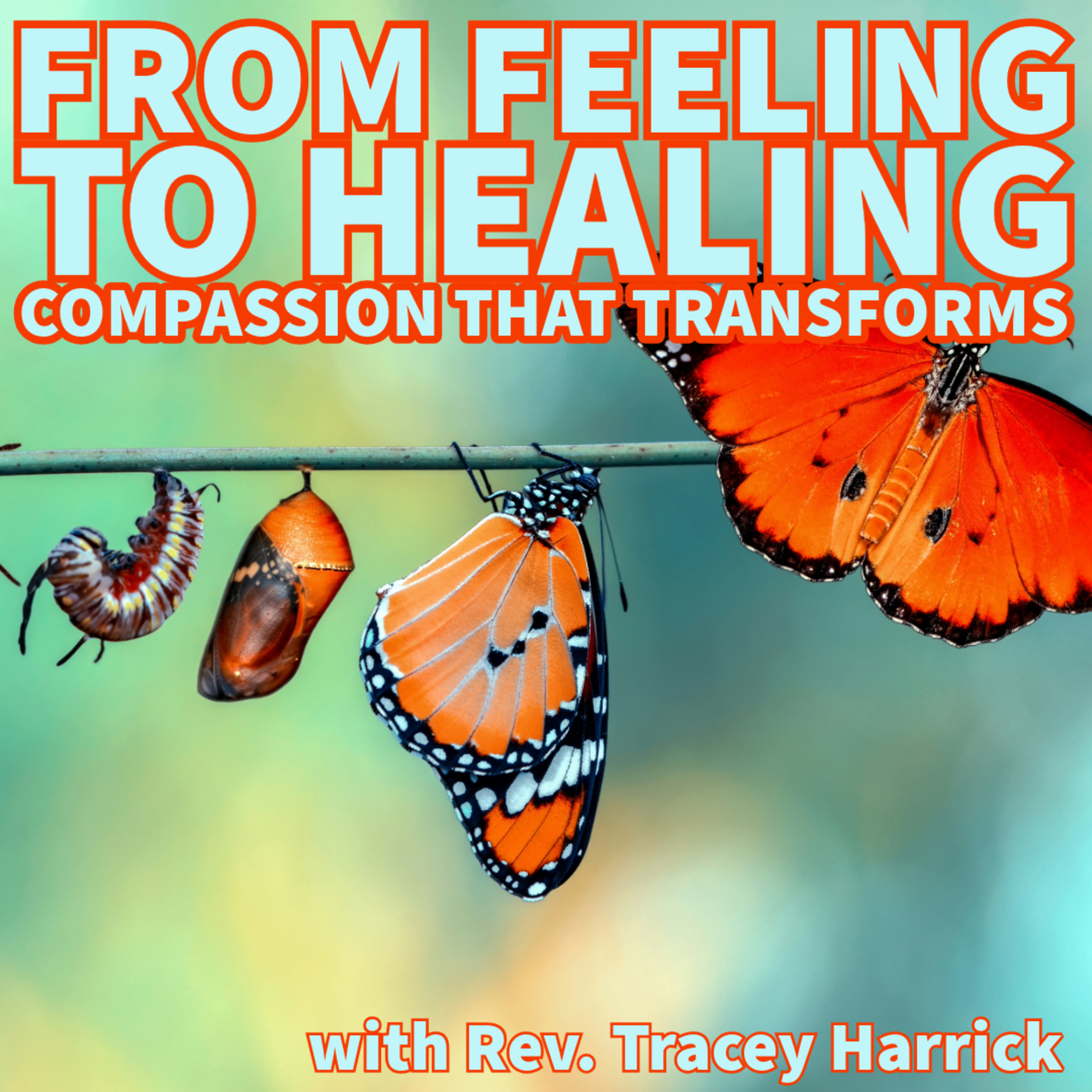 Rev. Tracey Harrick - From Feeling to Healing episode artwork