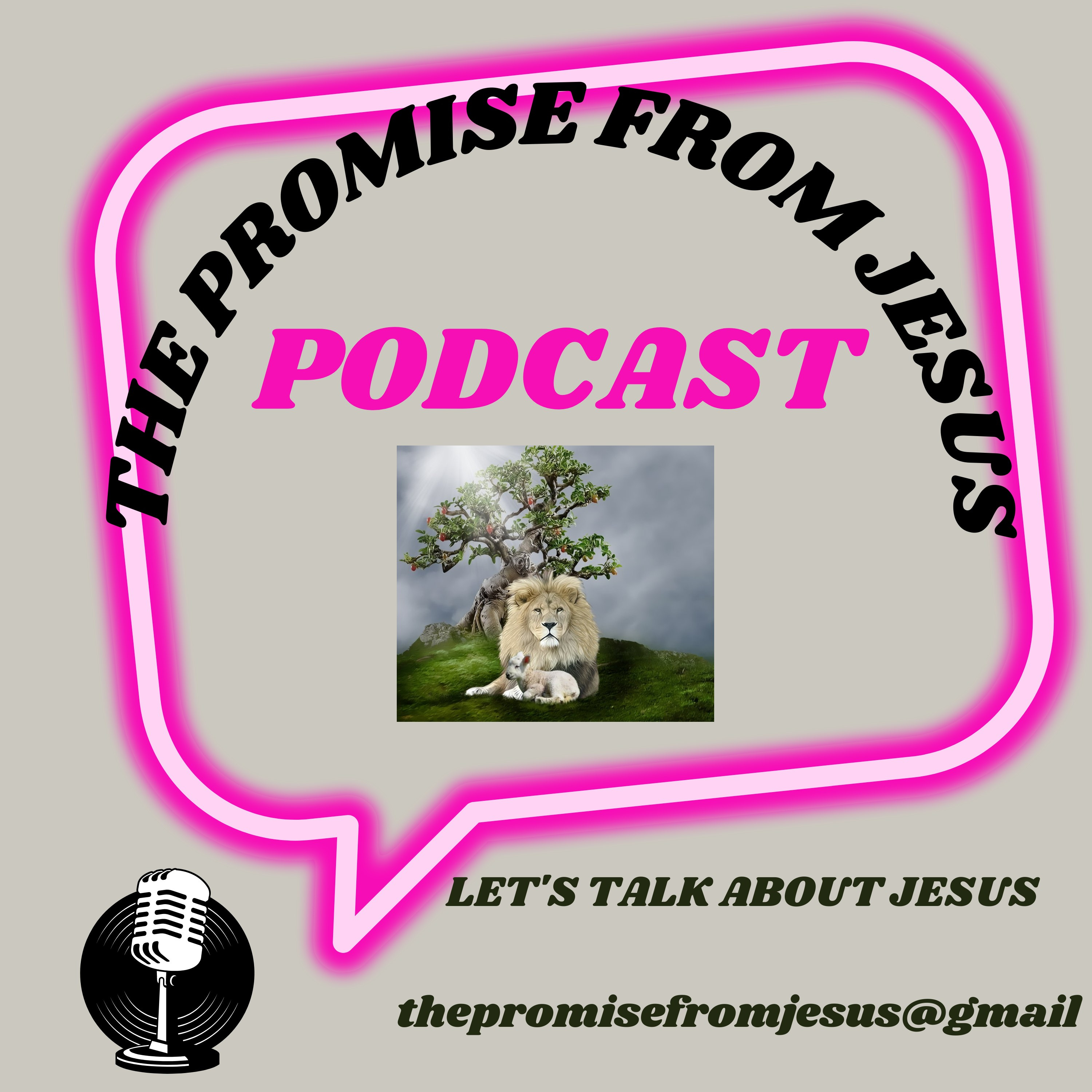 Your Questions #8 episode artwork