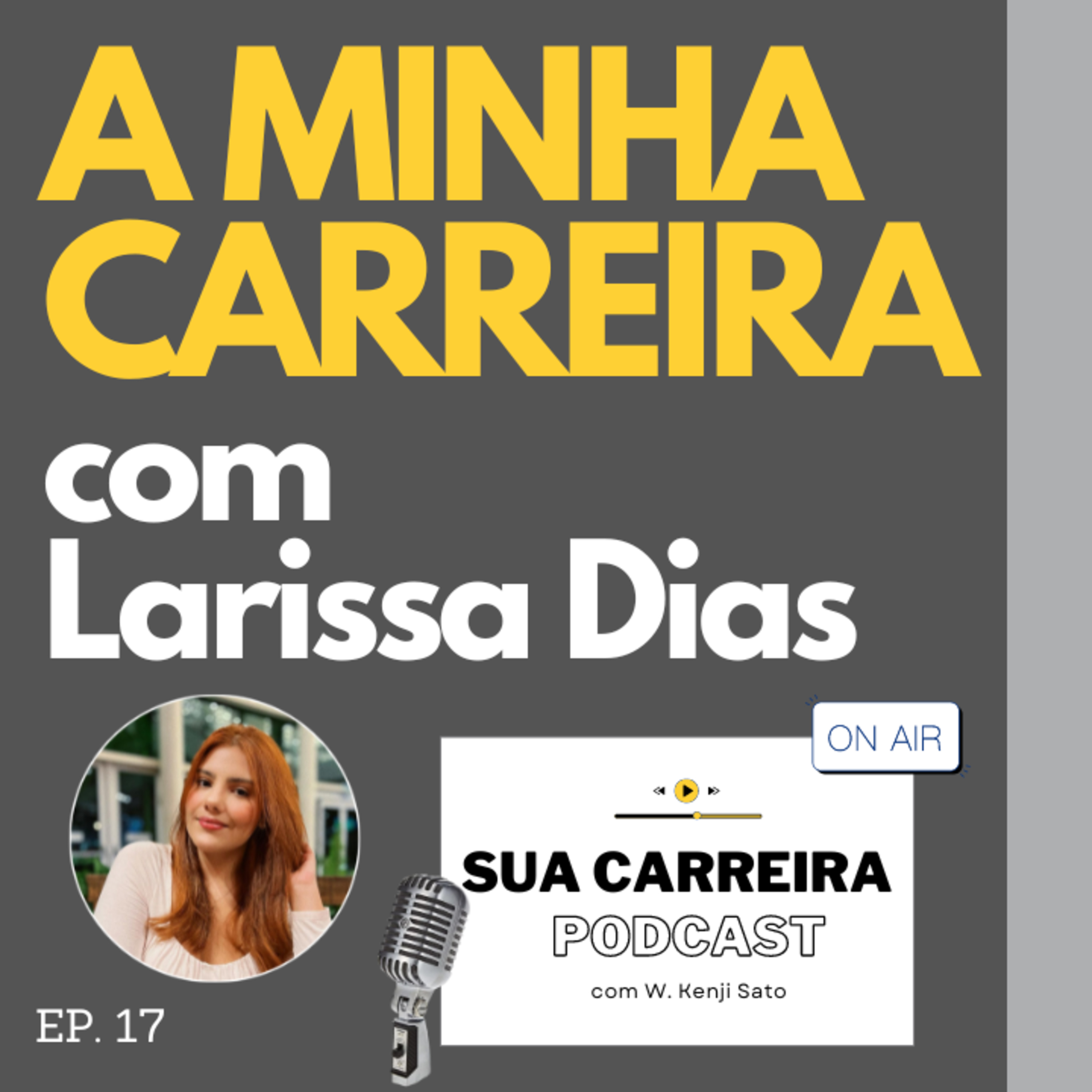 Sua Carreira Podcast