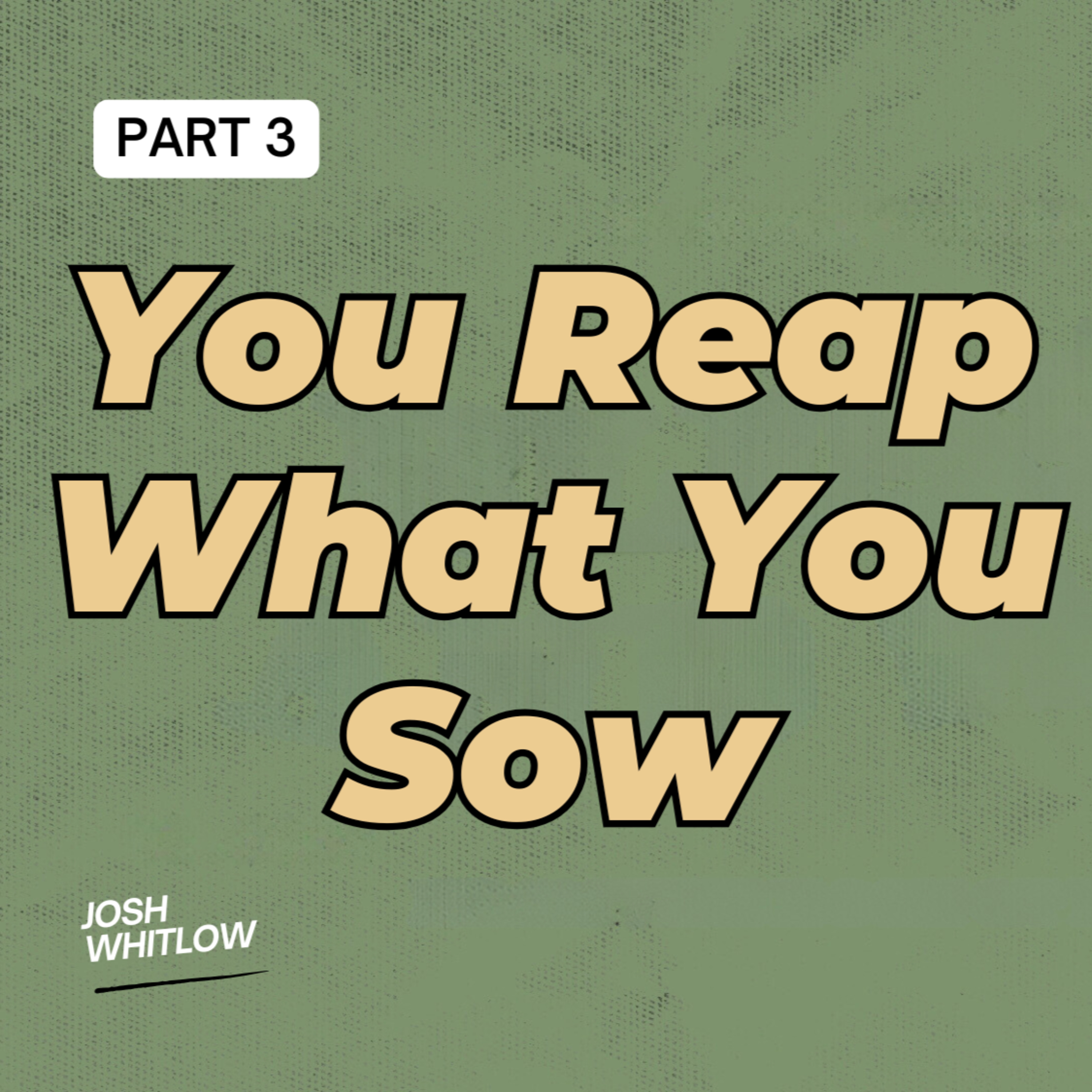 You Reap What You Sow | Ble$$ed & Wi$e | Part 3 episode artwork