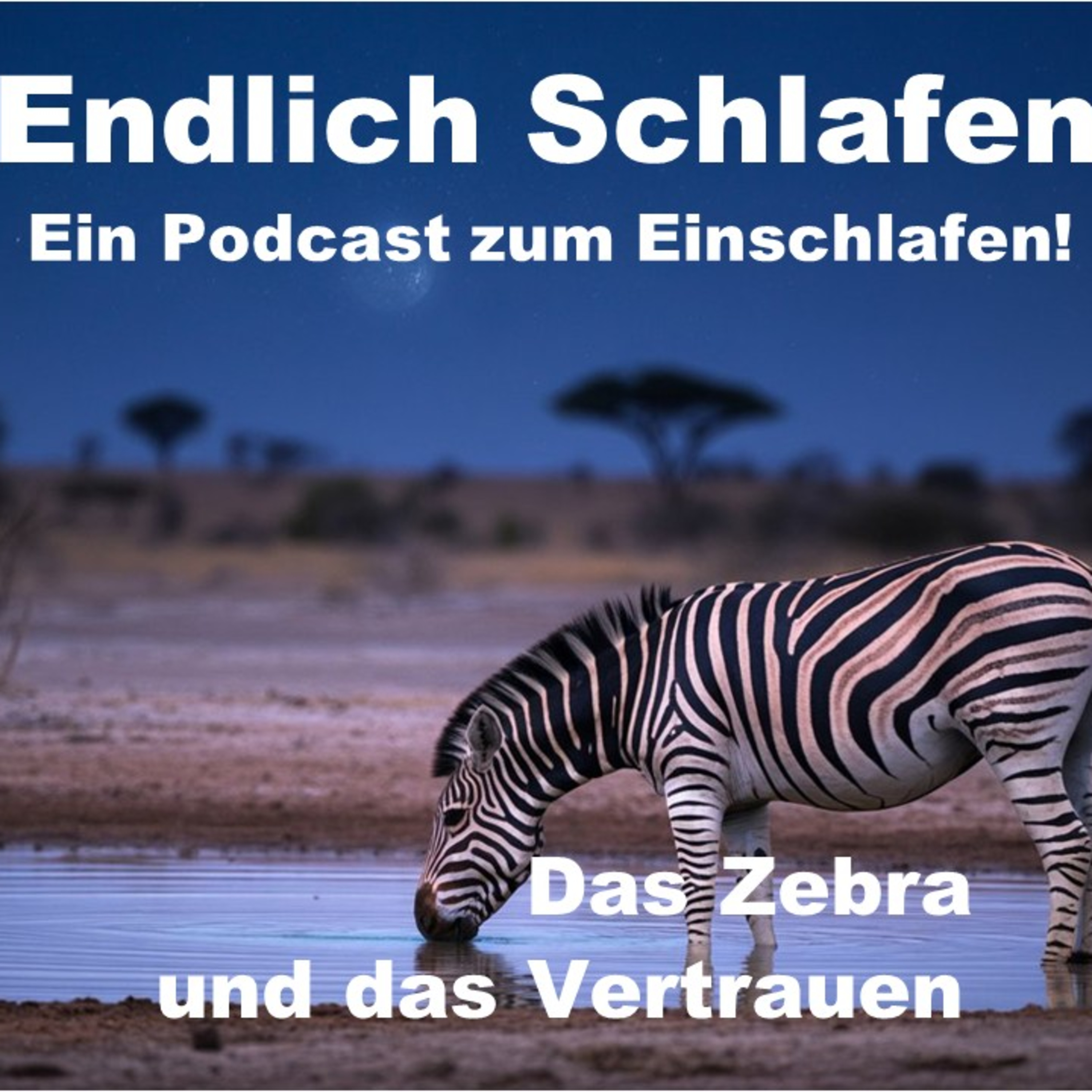 Endlich Schlafen - Ein Podcast zum Einschlafen!