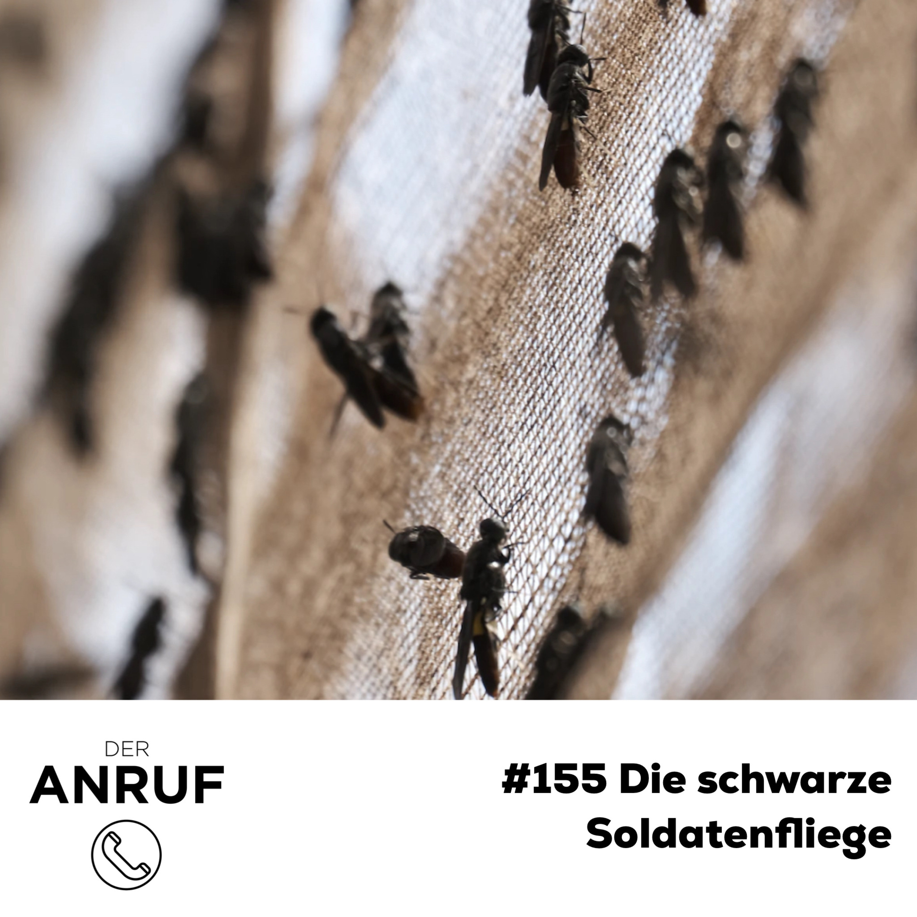 Der Anruf - Interview, Talk und True Stories