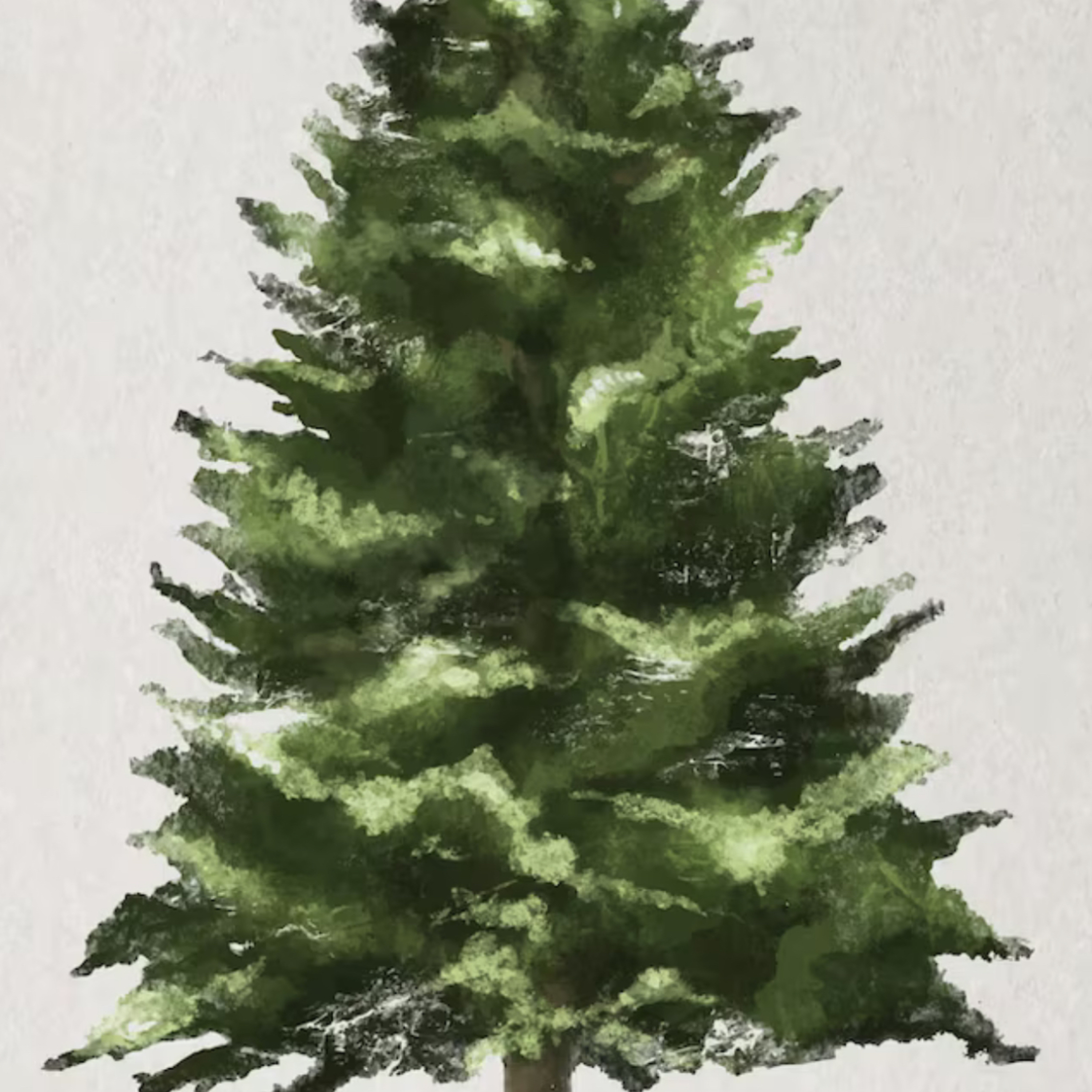 “The Fir Tree” a more somber story of the life of a Christmas tree.  episode artwork