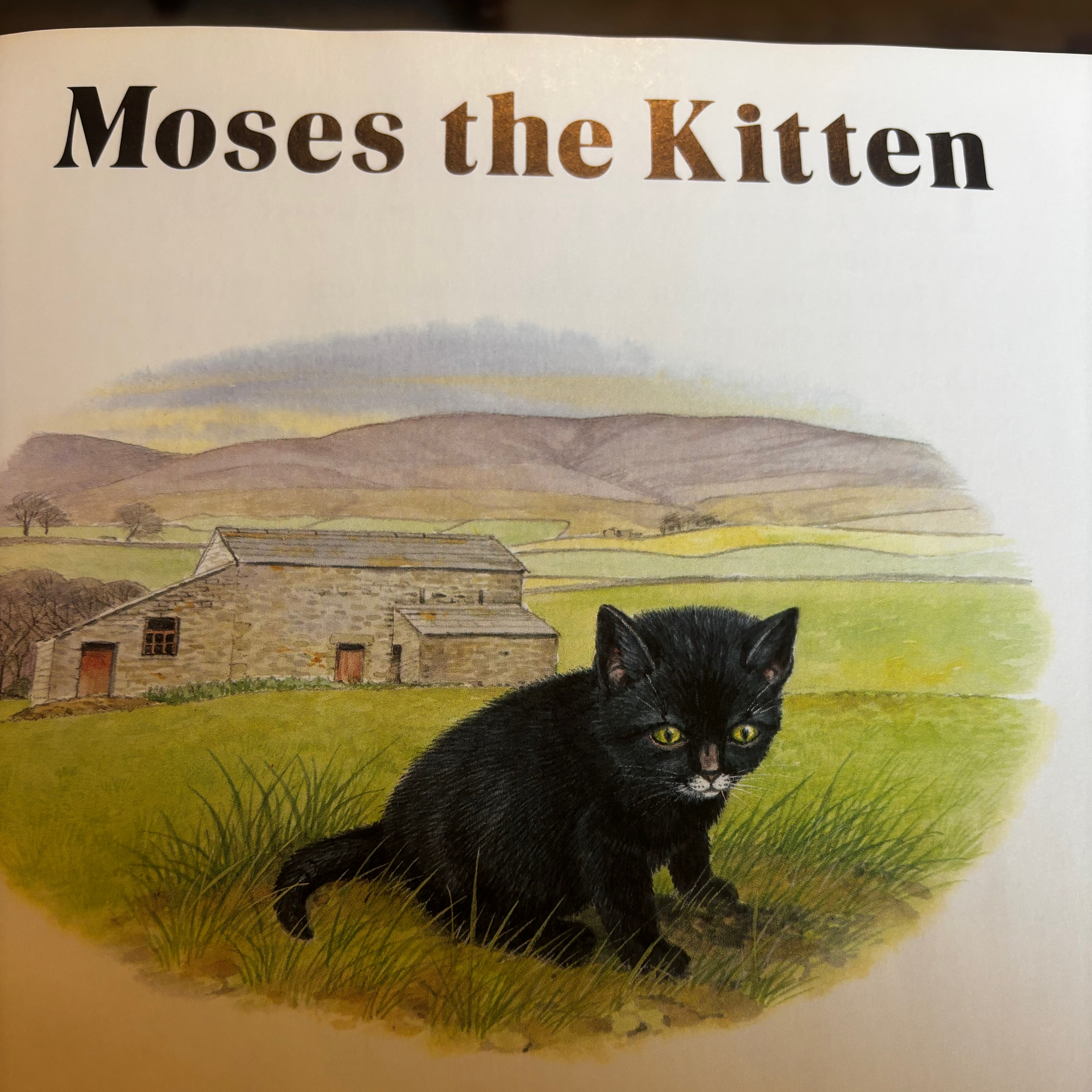 “Moses the Kitten” by James Herriot  episode artwork
