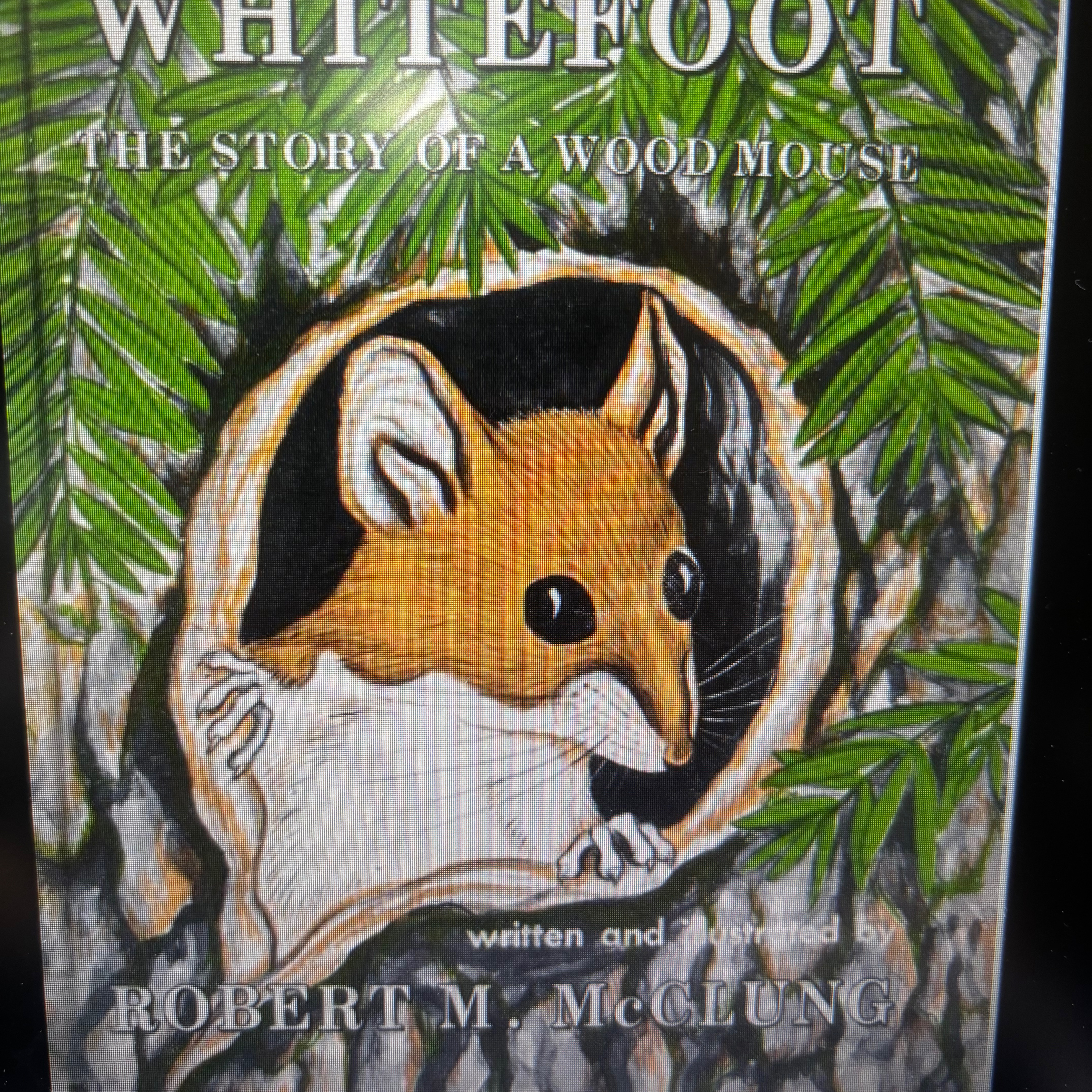 “Whitefoot: The story of a wood mouse” by Robert M. McClung  episode artwork