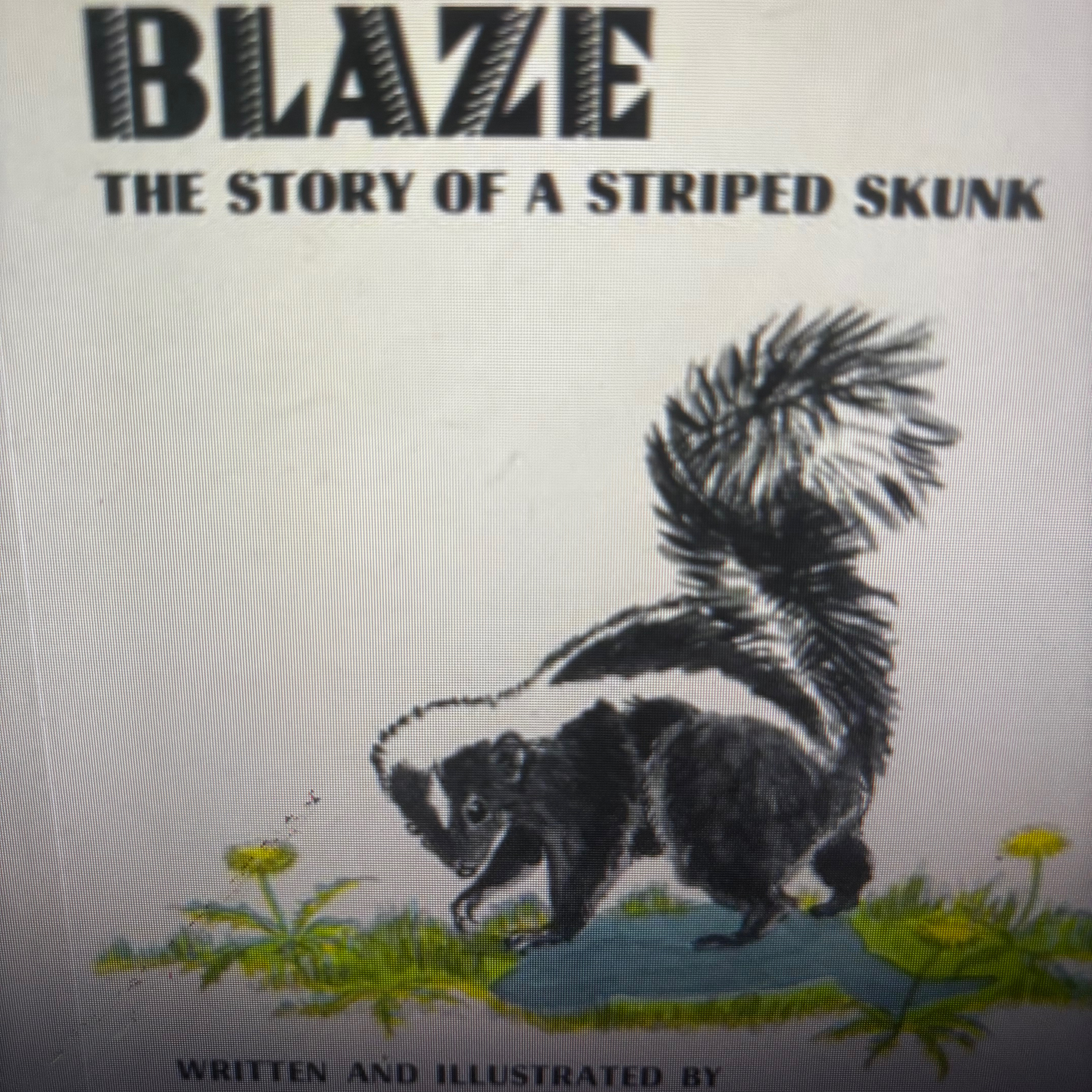 “Blaze; the story of a striped skunk” by Robert M. McClung  episode artwork